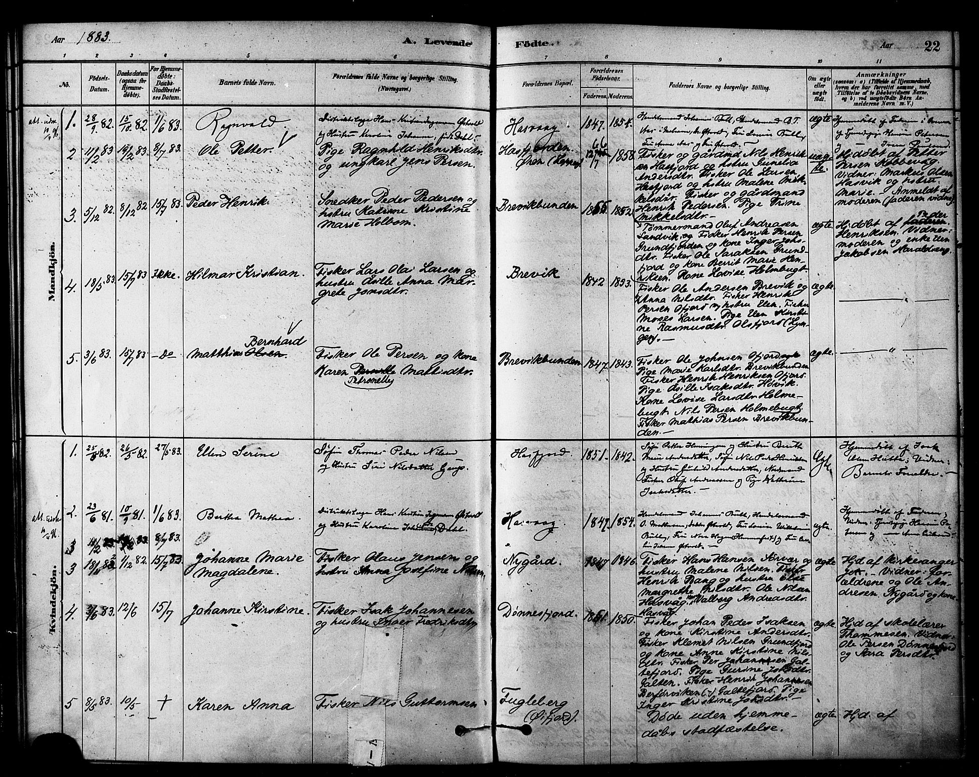Loppa sokneprestkontor, SATØ/S-1339/H/Ha/L0007kirke: Parish register (official) no. 7, 1879-1889, p. 22