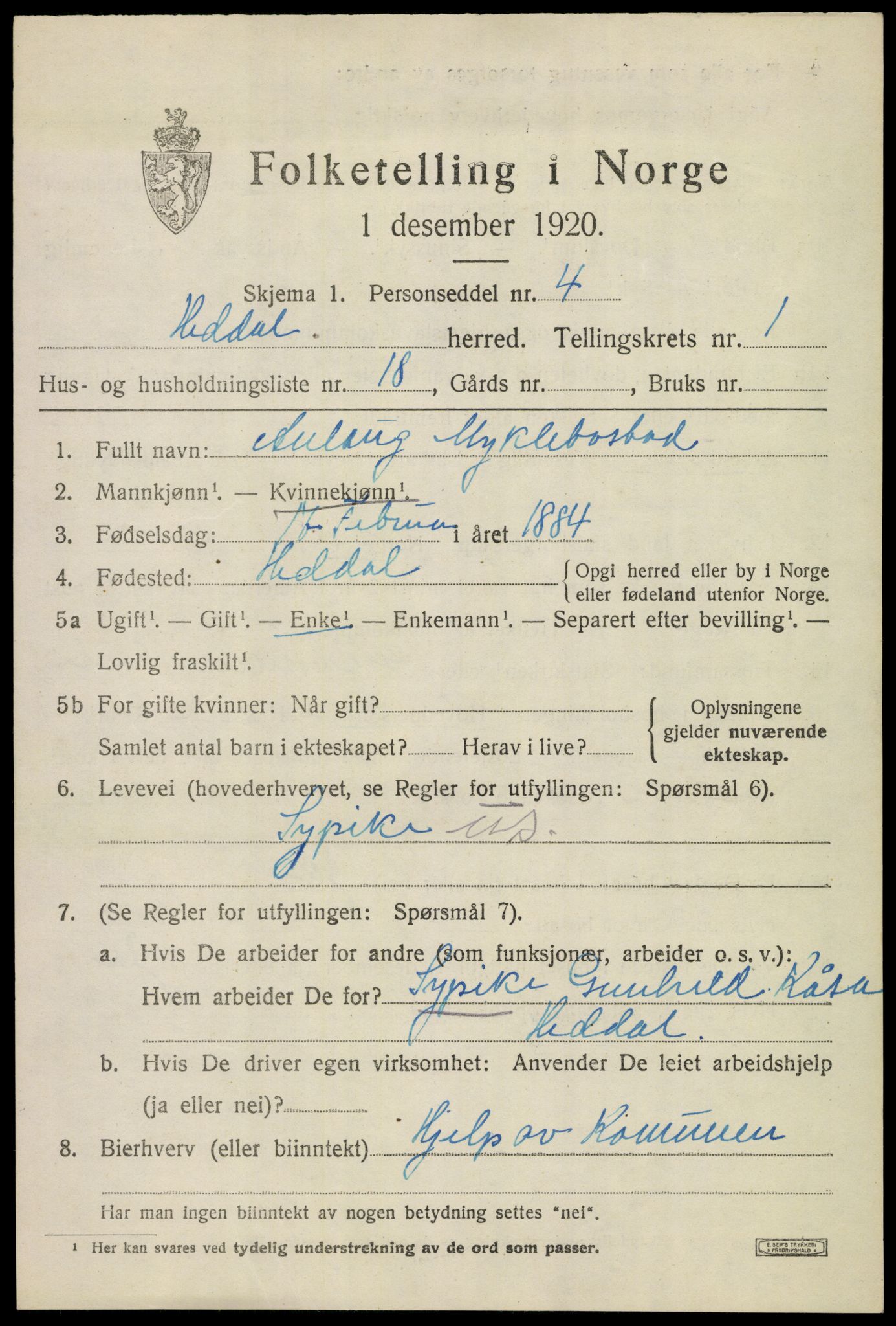 SAKO, 1920 census for Heddal, 1920, p. 1628