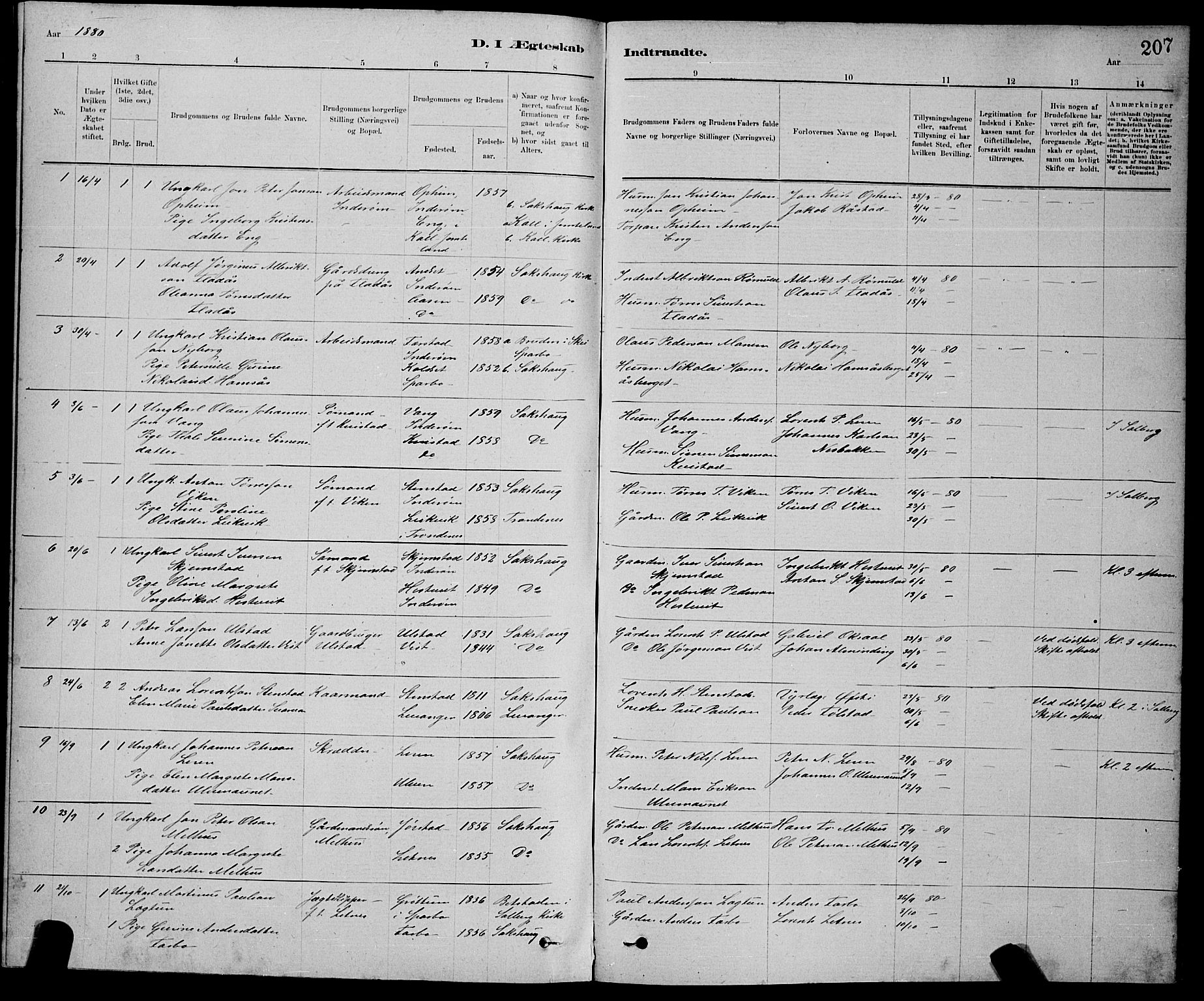 Ministerialprotokoller, klokkerbøker og fødselsregistre - Nord-Trøndelag, SAT/A-1458/730/L0301: Parish register (copy) no. 730C04, 1880-1897, p. 207