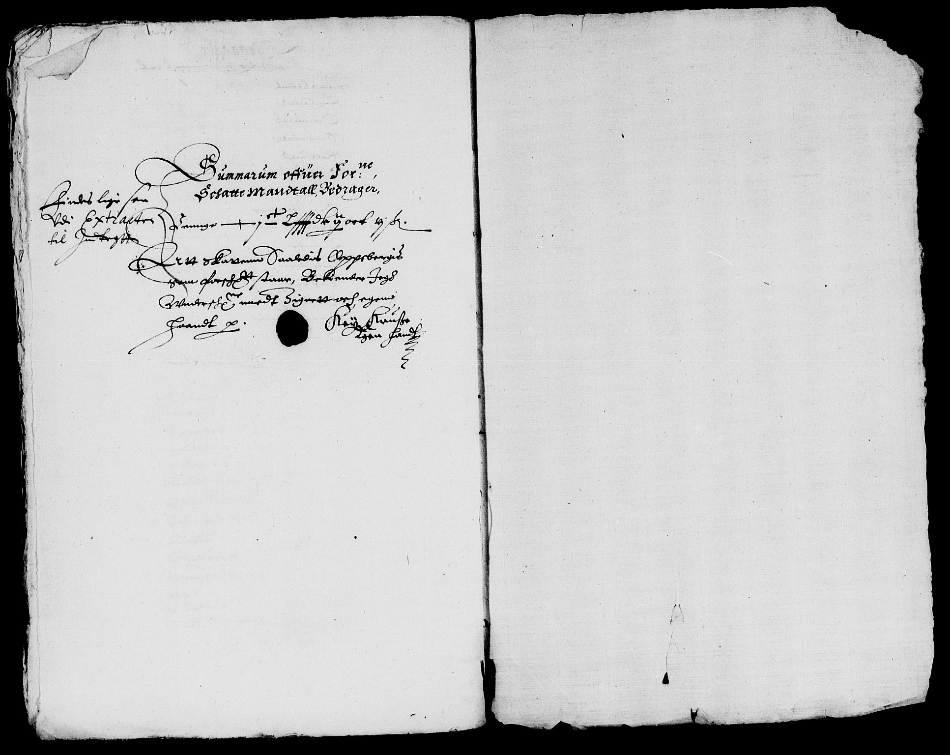 Rentekammeret inntil 1814, Reviderte regnskaper, Lensregnskaper, AV/RA-EA-5023/R/Rb/Rbq/L0019: Nedenes len. Mandals len. Råbyggelag., 1629-1630