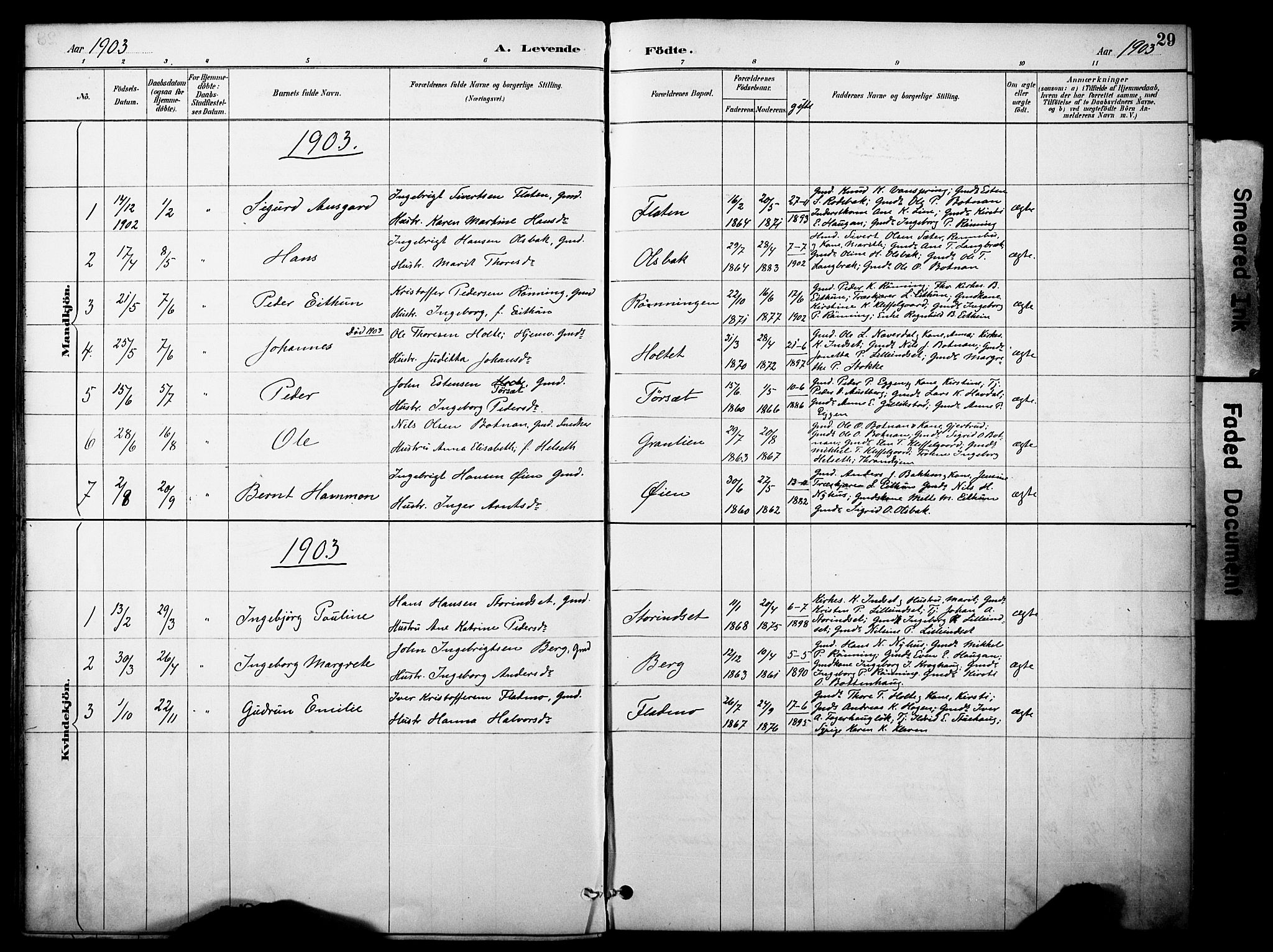 Kvikne prestekontor, SAH/PREST-064/H/Ha/Haa/L0007: Parish register (official) no. 7, 1887-1911, p. 29