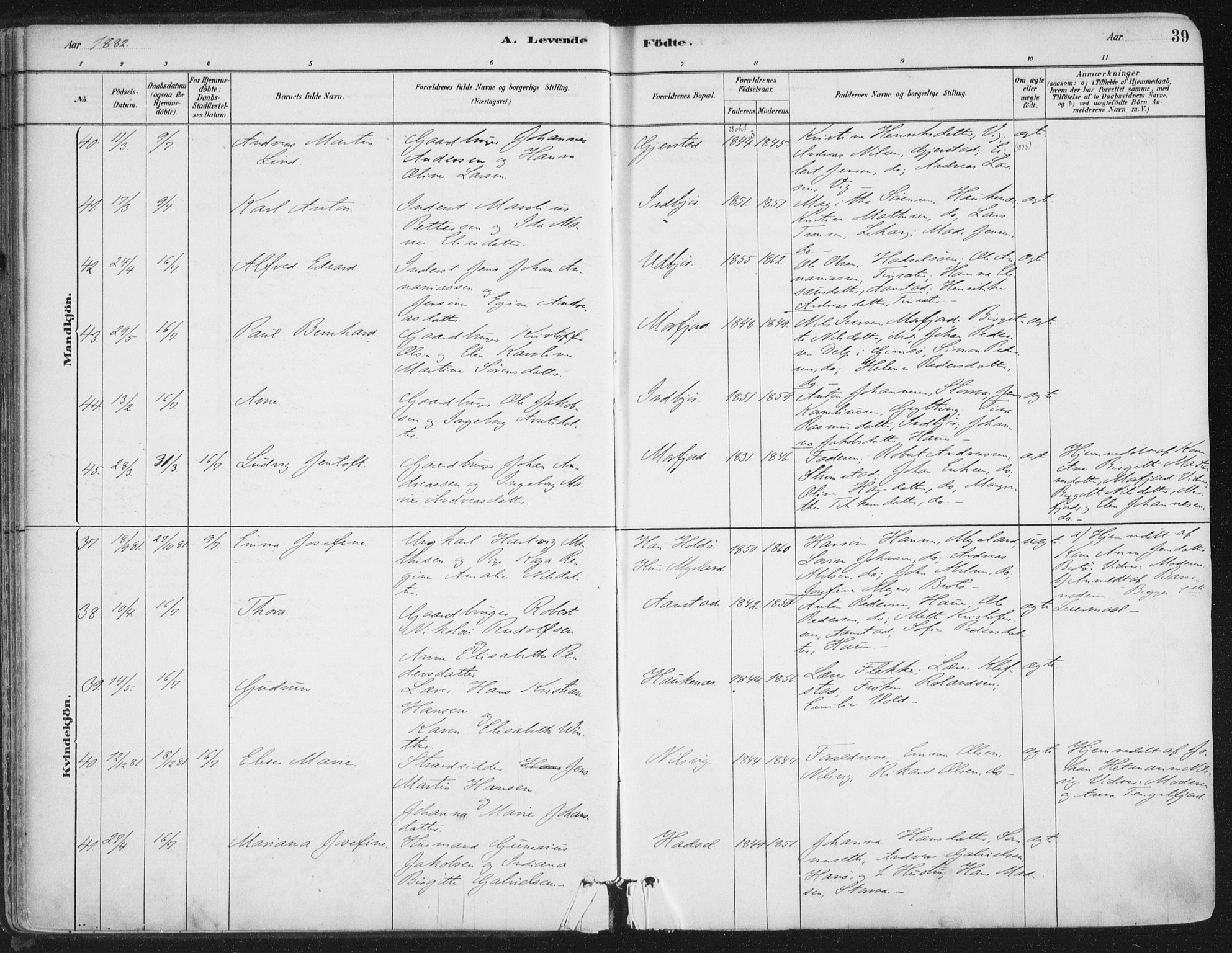 Ministerialprotokoller, klokkerbøker og fødselsregistre - Nordland, SAT/A-1459/888/L1244: Parish register (official) no. 888A10, 1880-1890, p. 39