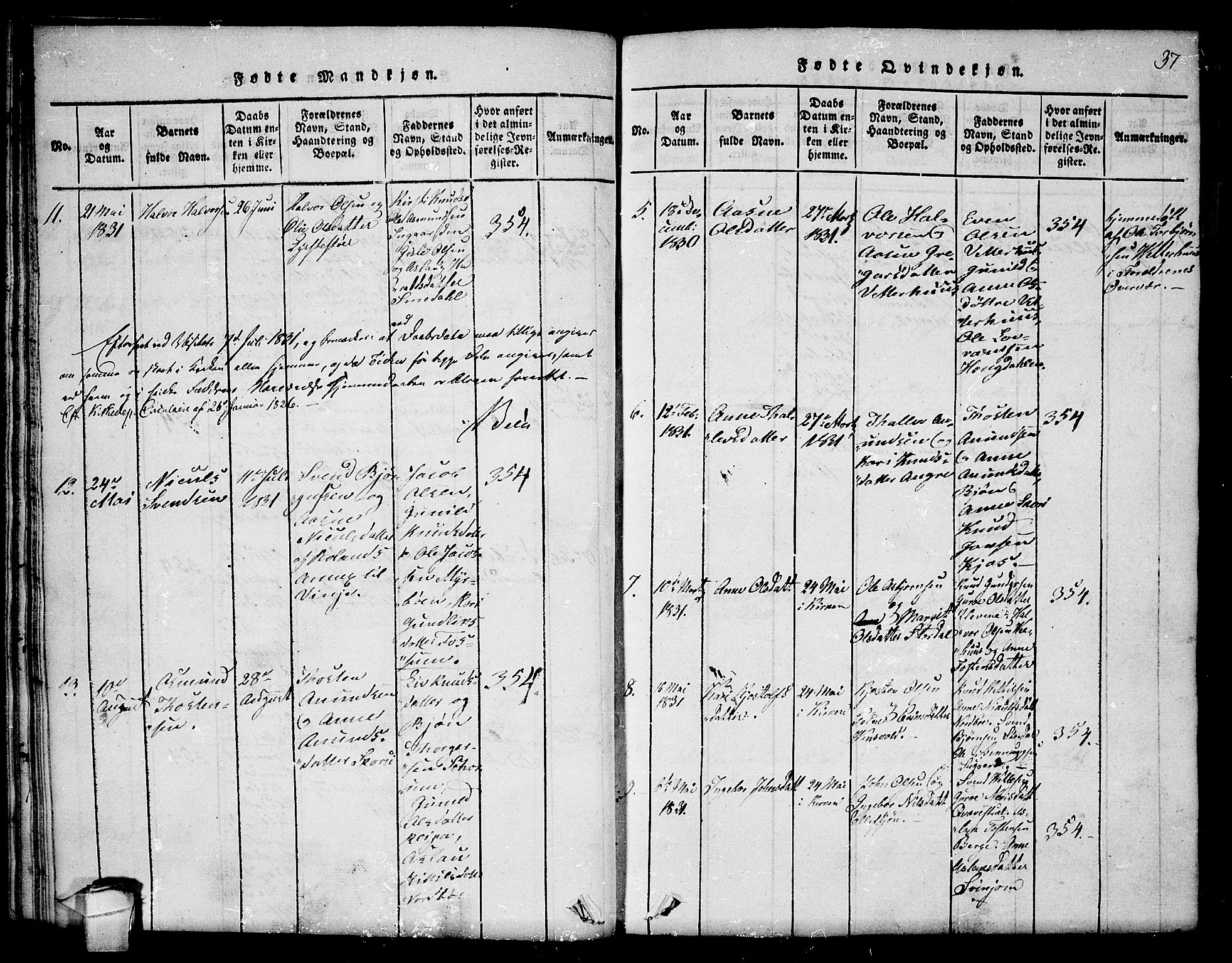 Seljord kirkebøker, AV/SAKO-A-20/F/Fc/L0001: Parish register (official) no. III 1, 1815-1831, p. 37