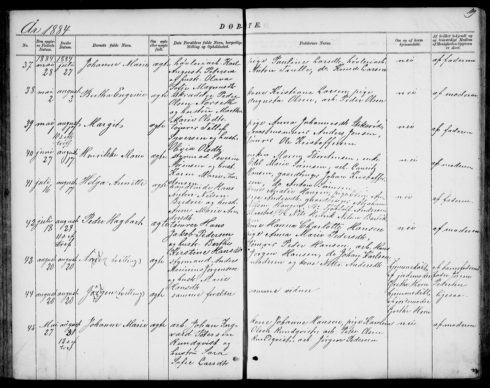 Larvik kirkebøker, AV/SAKO-A-352/G/Gb/L0003: Parish register (copy) no. II 3, 1867-1899, p. 109