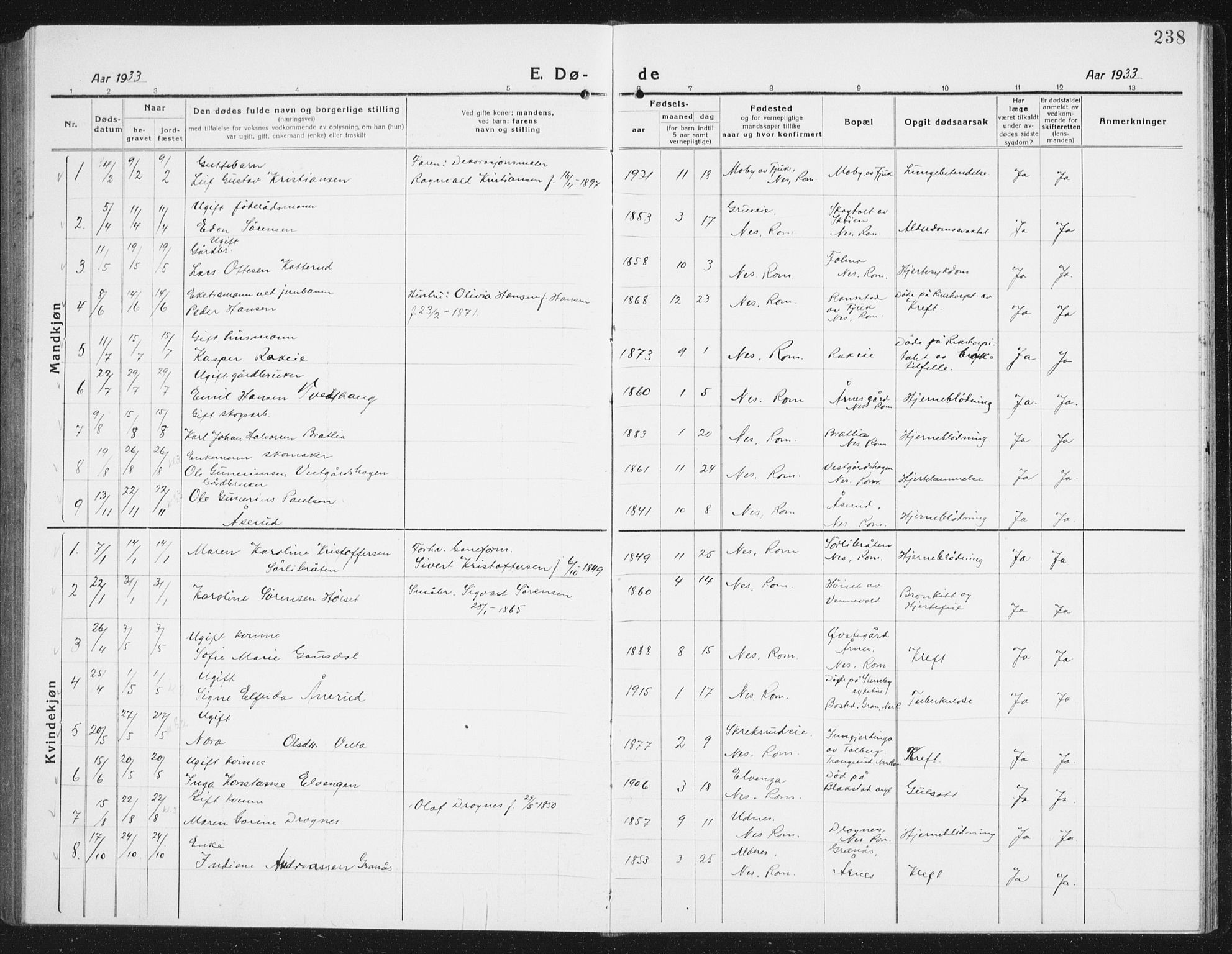 Nes prestekontor Kirkebøker, SAO/A-10410/G/Gc/L0002: Parish register (copy) no. III 2, 1915-1943, p. 238
