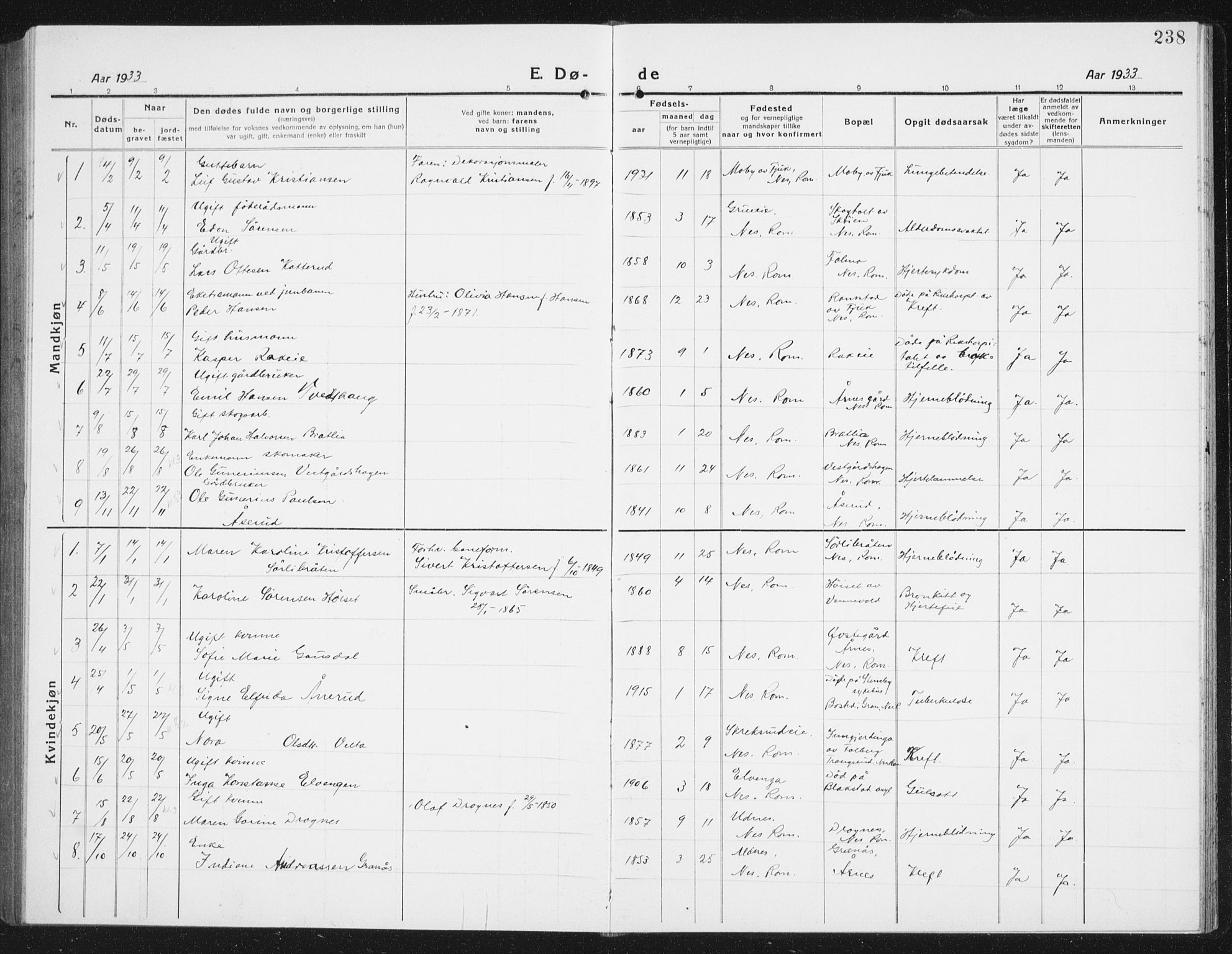 Nes prestekontor Kirkebøker, AV/SAO-A-10410/G/Gc/L0002: Parish register (copy) no. III 2, 1915-1943, p. 238