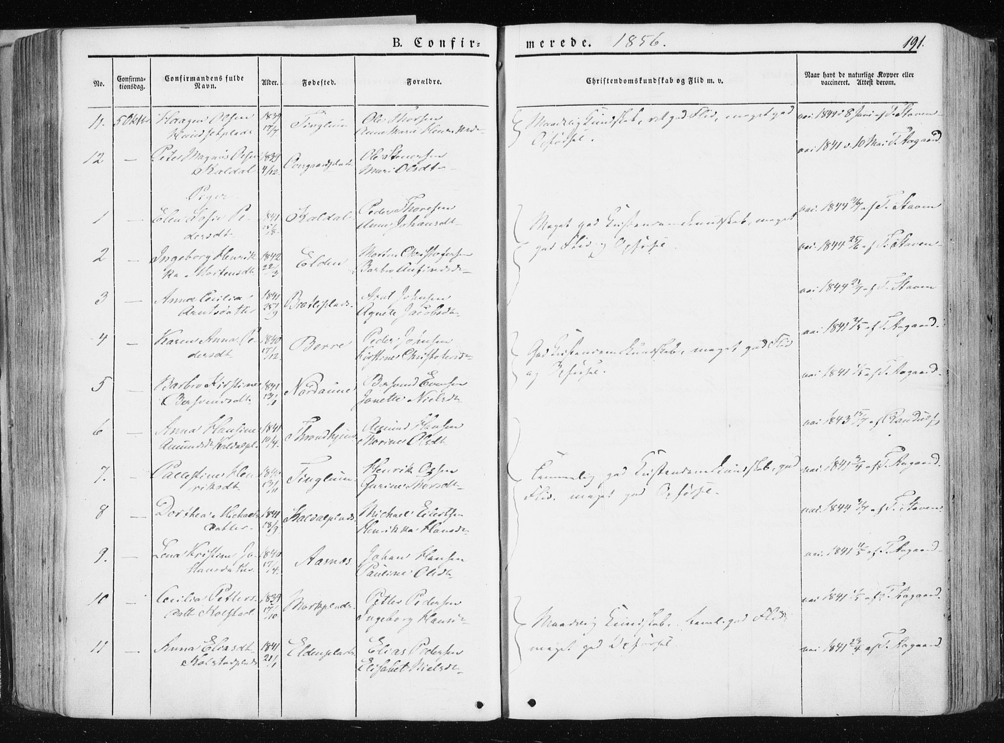 Ministerialprotokoller, klokkerbøker og fødselsregistre - Nord-Trøndelag, SAT/A-1458/741/L0393: Parish register (official) no. 741A07, 1849-1863, p. 191