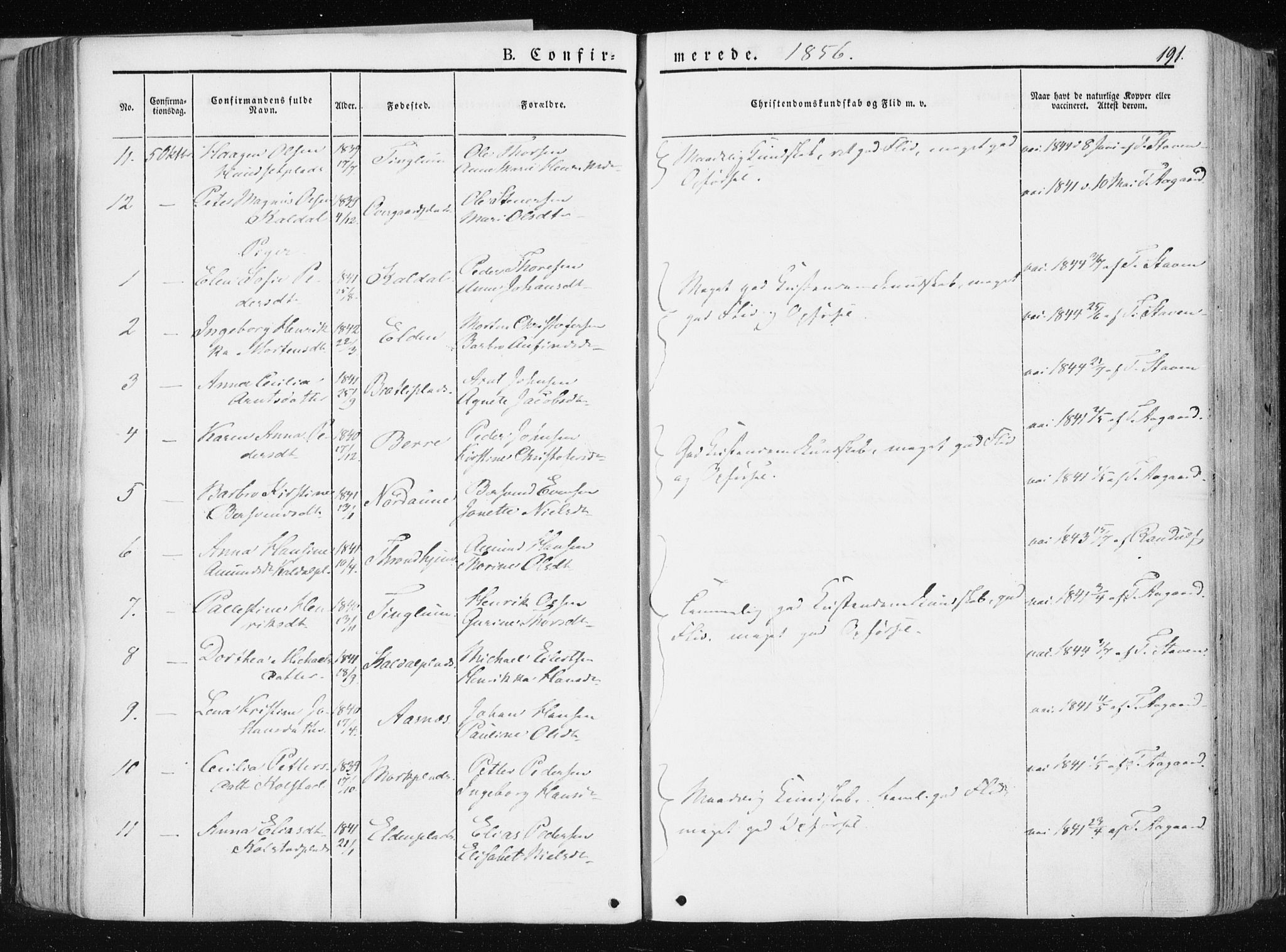 Ministerialprotokoller, klokkerbøker og fødselsregistre - Nord-Trøndelag, AV/SAT-A-1458/741/L0393: Parish register (official) no. 741A07, 1849-1863, p. 191