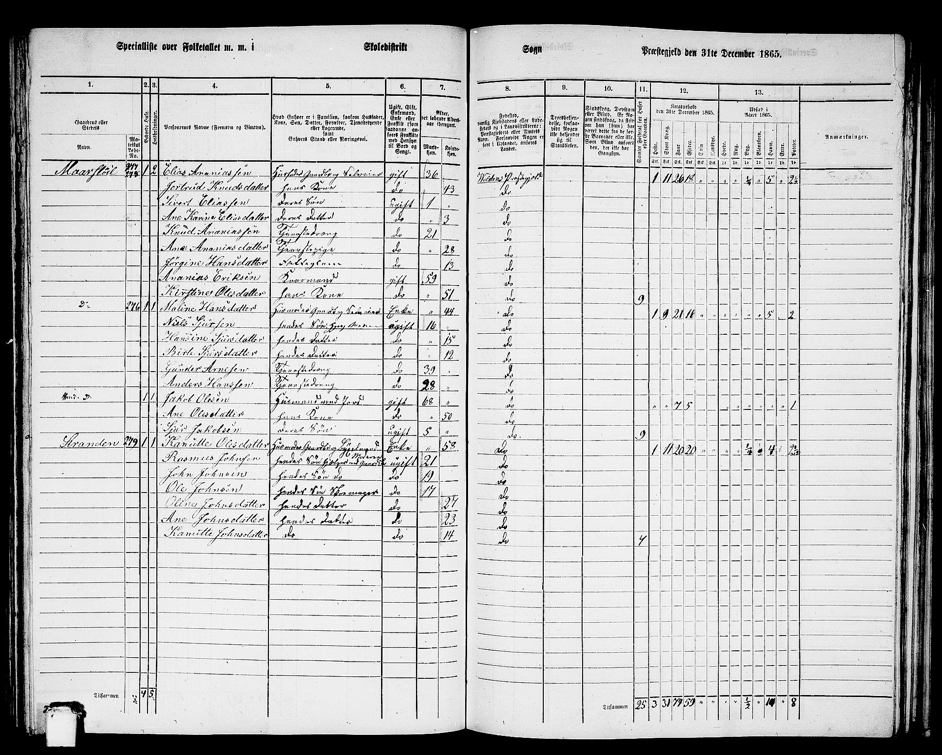 RA, 1865 census for Volda, 1865, p. 139