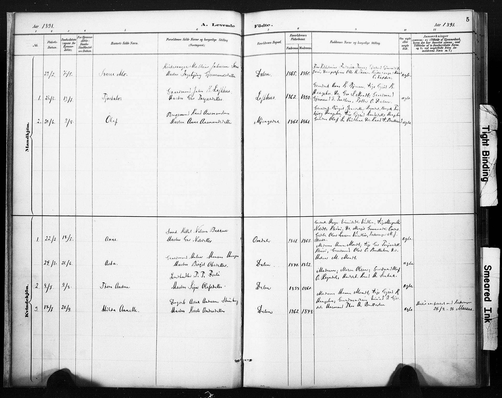 Lårdal kirkebøker, SAKO/A-284/F/Fb/L0002: Parish register (official) no. II 2, 1887-1918, p. 5