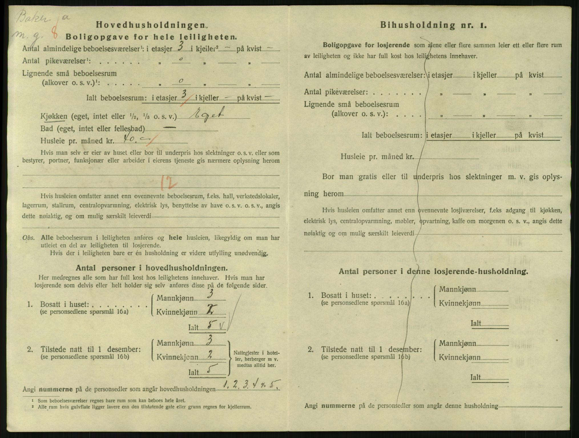 SAKO, 1920 census for Tønsberg, 1920, p. 3246