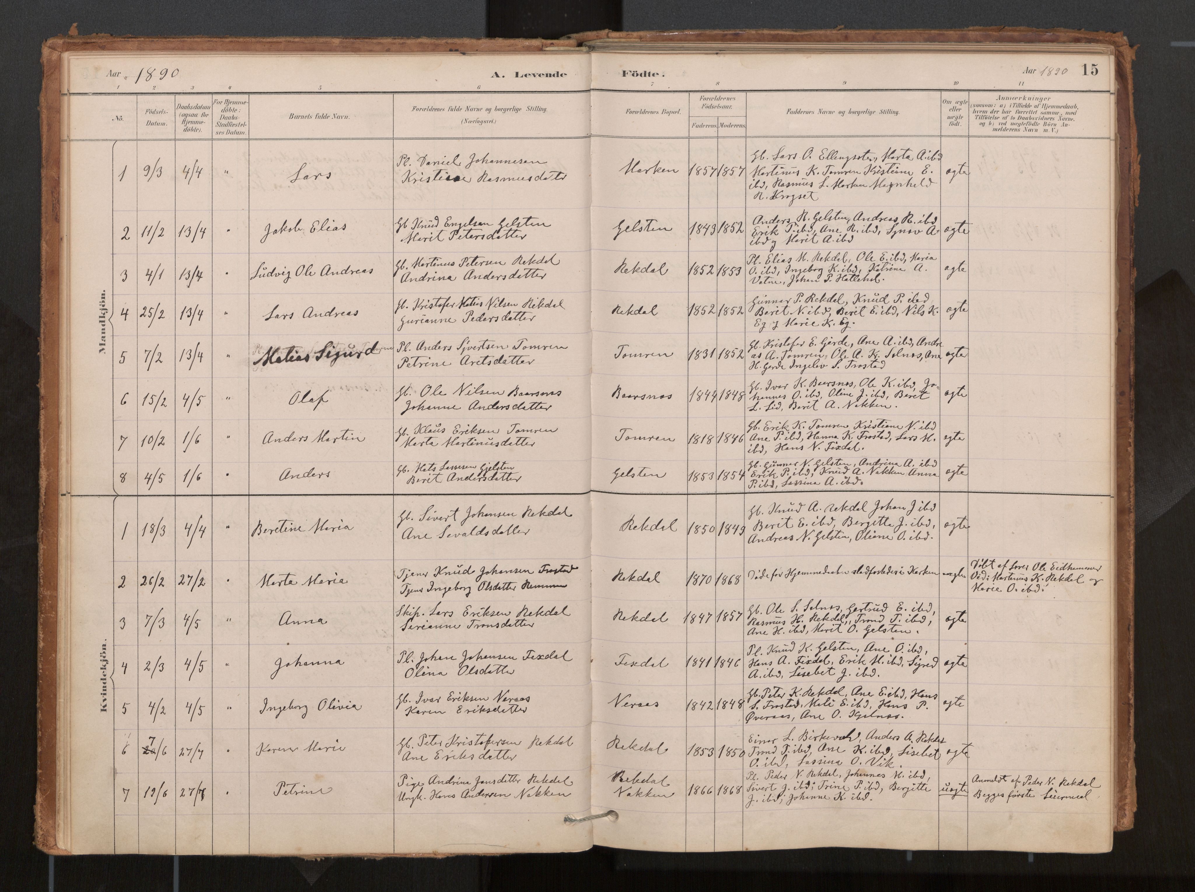 Ministerialprotokoller, klokkerbøker og fødselsregistre - Møre og Romsdal, AV/SAT-A-1454/540/L0540a: Parish register (official) no. 540A02, 1884-1908, p. 15