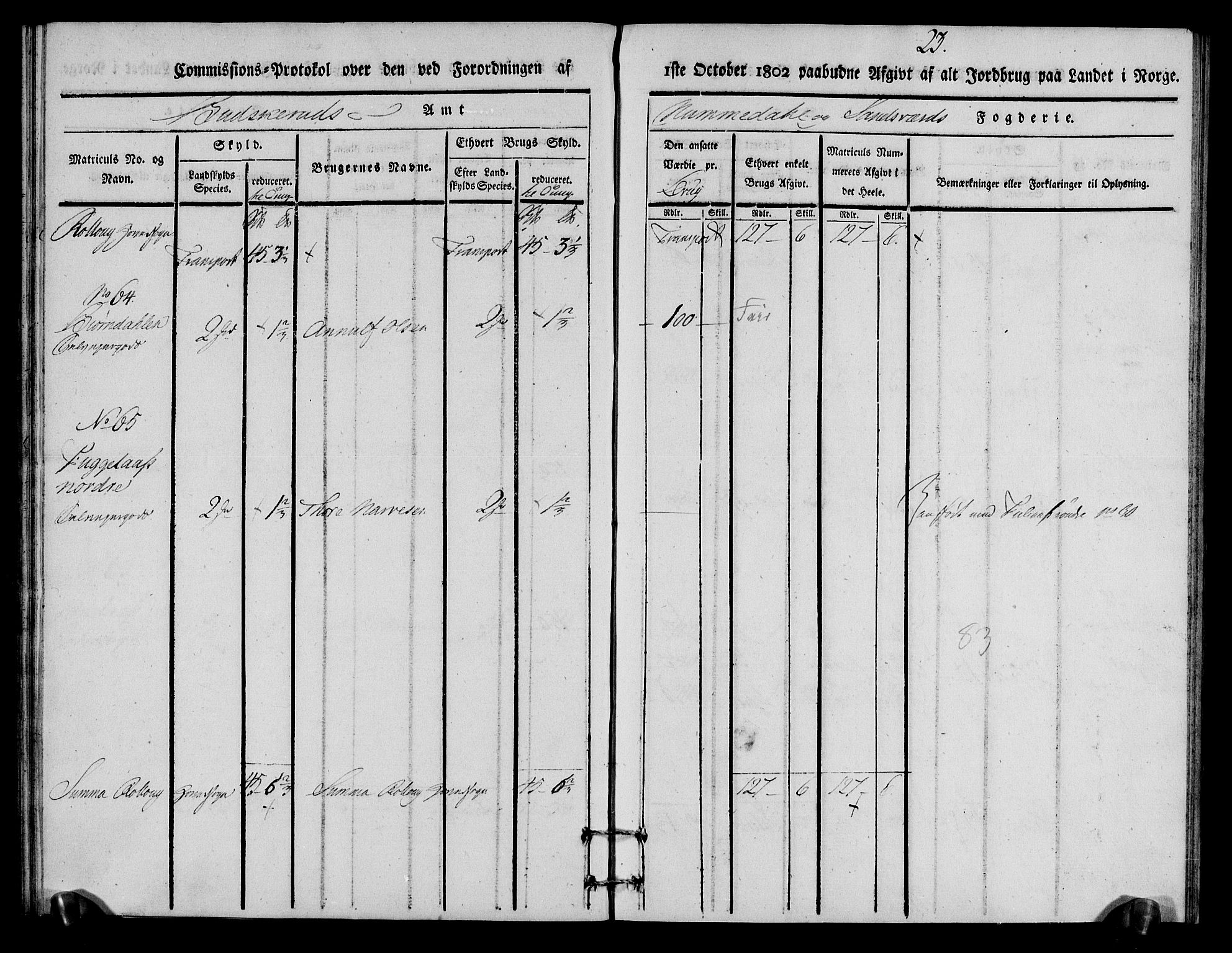 Rentekammeret inntil 1814, Realistisk ordnet avdeling, RA/EA-4070/N/Ne/Nea/L0056a: Numedal og Sandsvær fogderi. Kommisjonsprotokoll for Rollag hovedsogn og Veggli anneks, 1803, p. 24