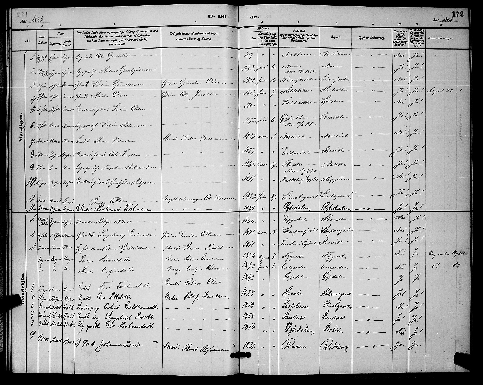 Nore kirkebøker, SAKO/A-238/G/Ga/L0003: Parish register (copy) no. I 3, 1886-1903, p. 172