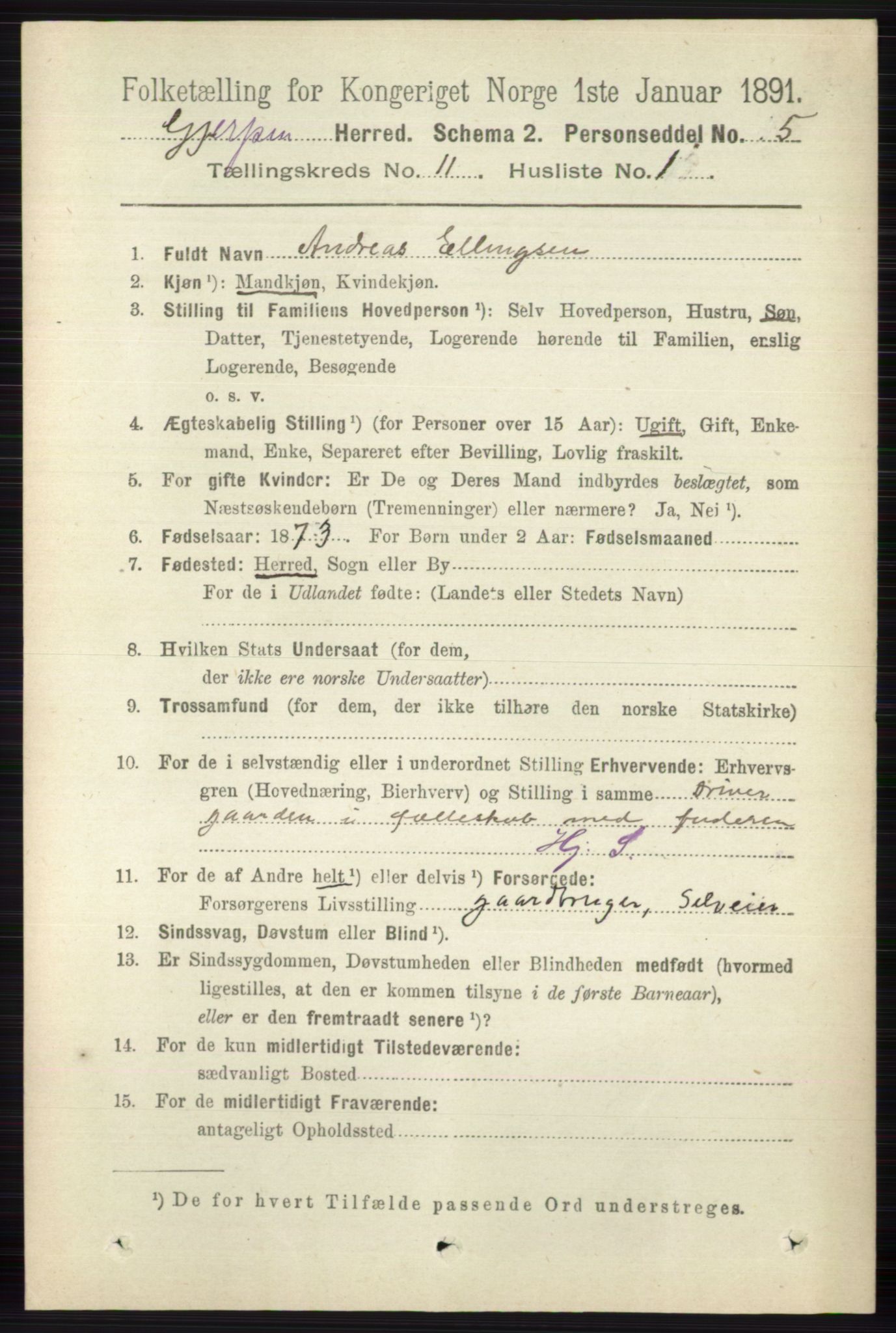 RA, 1891 census for 0812 Gjerpen, 1891, p. 6543