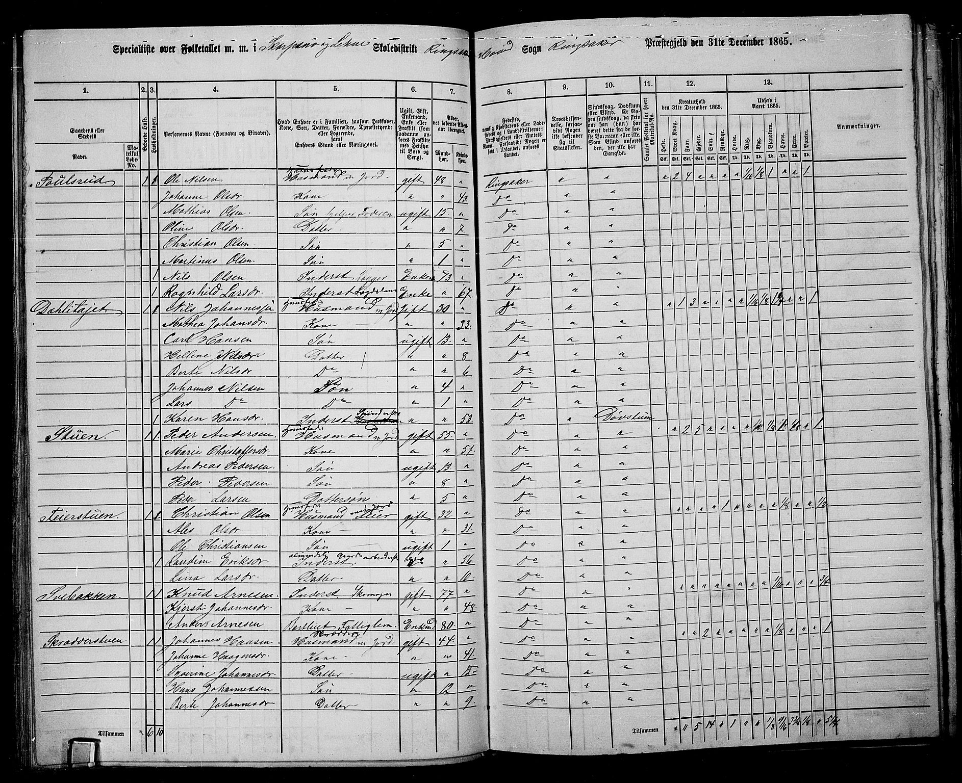 RA, 1865 census for Ringsaker, 1865, p. 130