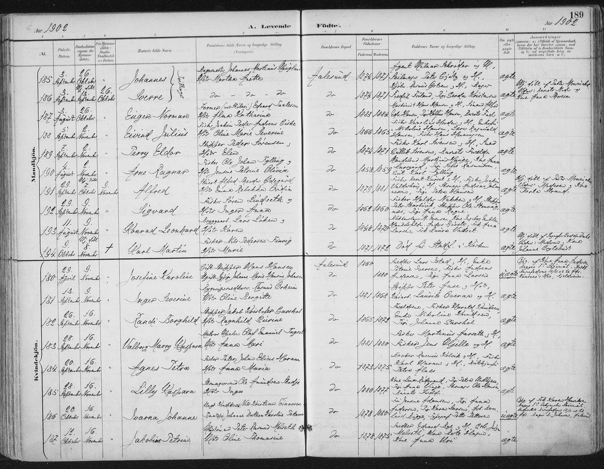 Ministerialprotokoller, klokkerbøker og fødselsregistre - Møre og Romsdal, AV/SAT-A-1454/529/L0456: Parish register (official) no. 529A06, 1894-1906, p. 189