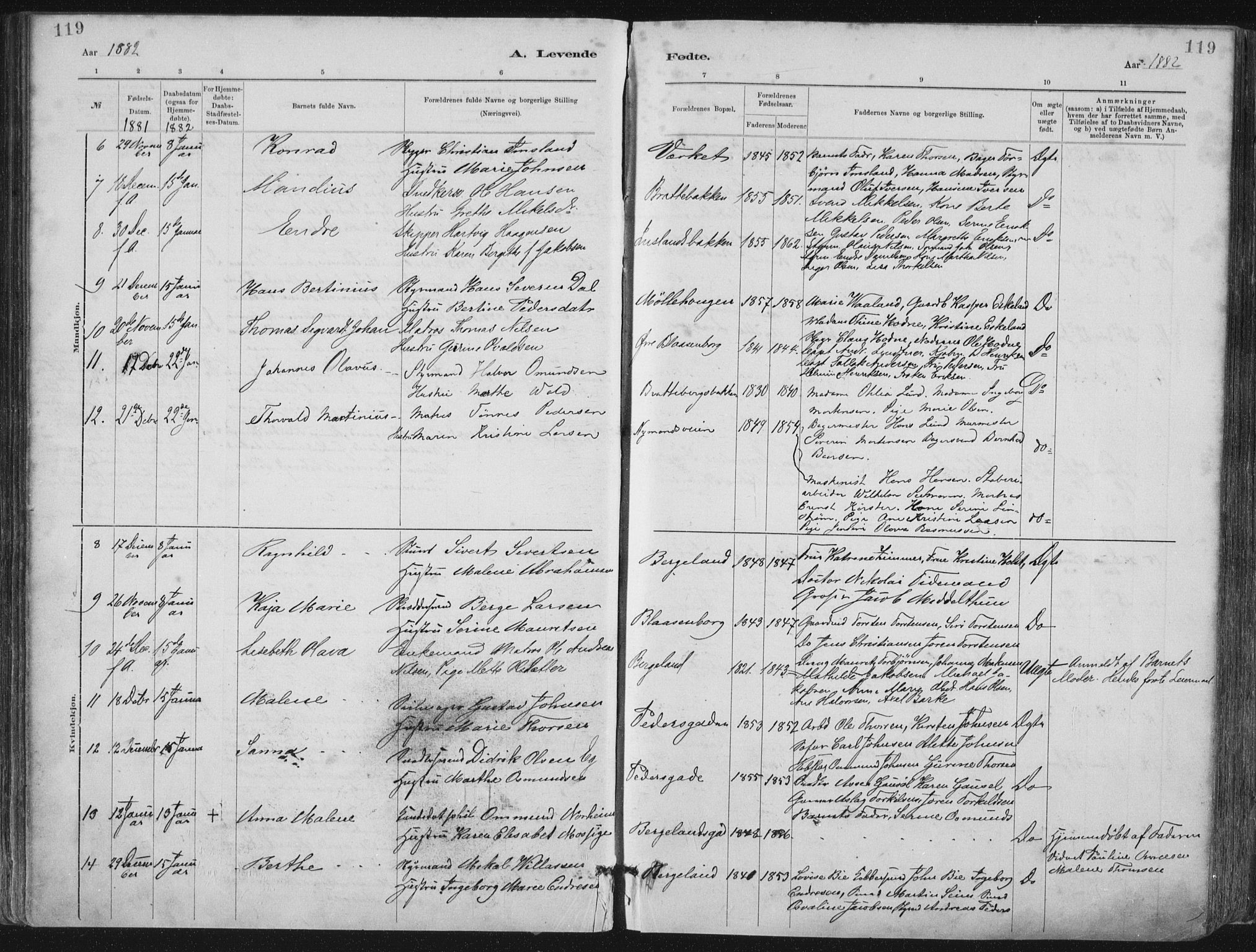 St. Petri sokneprestkontor, AV/SAST-A-101813/001/30/30BA/L0015: Parish register (official) no. A 15, 1879-1888, p. 119