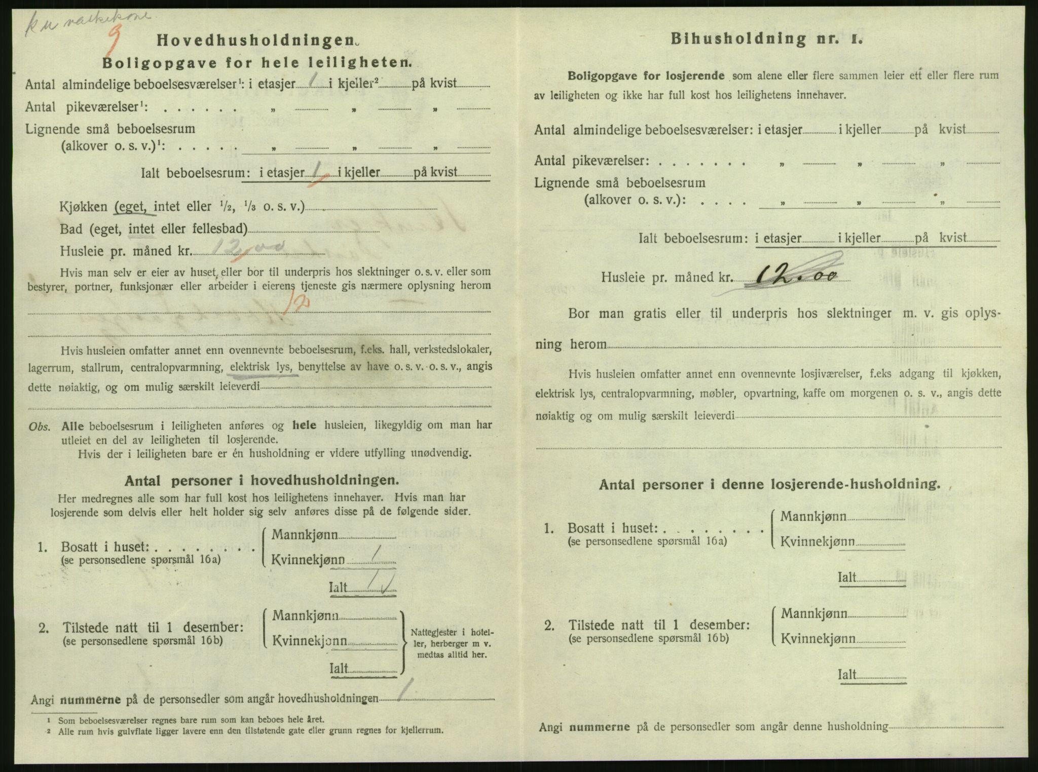 SAT, 1920 census for Steinkjer, 1920, p. 1373