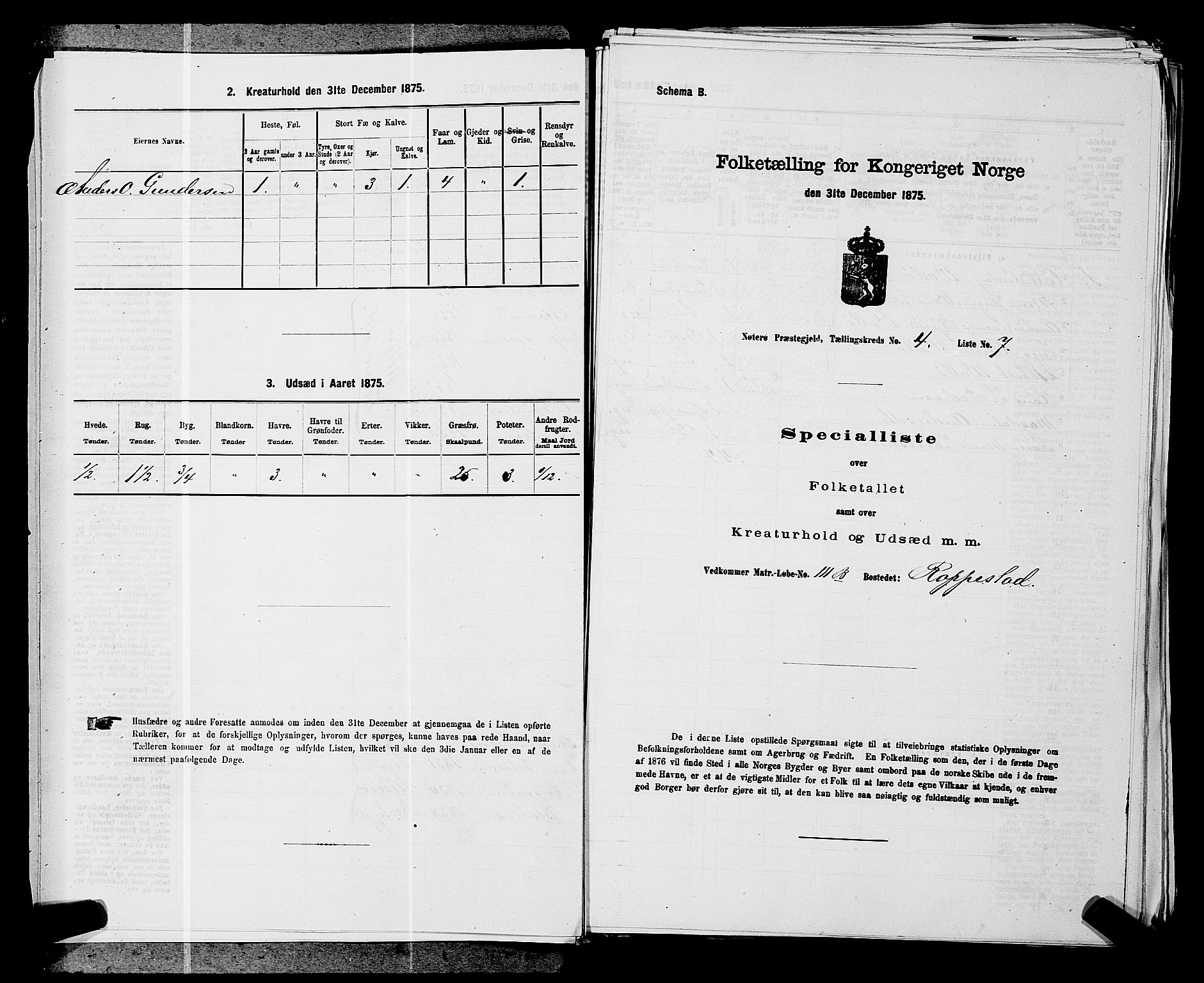 SAKO, 1875 census for 0722P Nøtterøy, 1875, p. 809