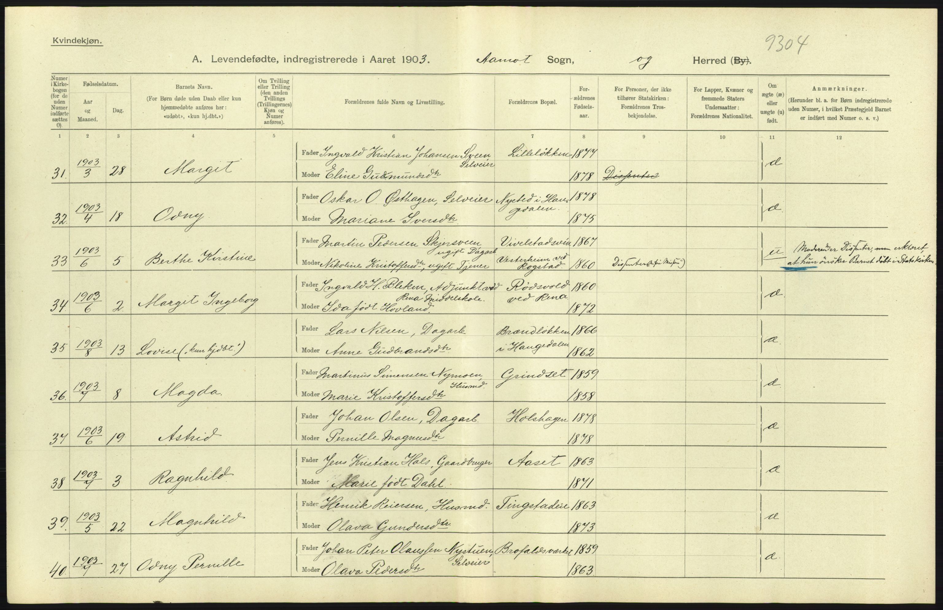 Statistisk sentralbyrå, Sosiodemografiske emner, Befolkning, AV/RA-S-2228/D/Df/Dfa/Dfaa/L0005: Hedemarkens amt: Fødte, gifte, døde, 1903, p. 437