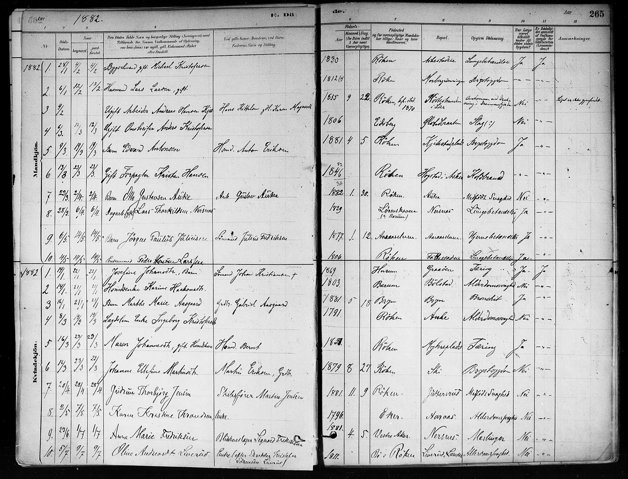 Røyken kirkebøker, SAKO/A-241/F/Fa/L0008: Parish register (official) no. 8, 1880-1897, p. 265