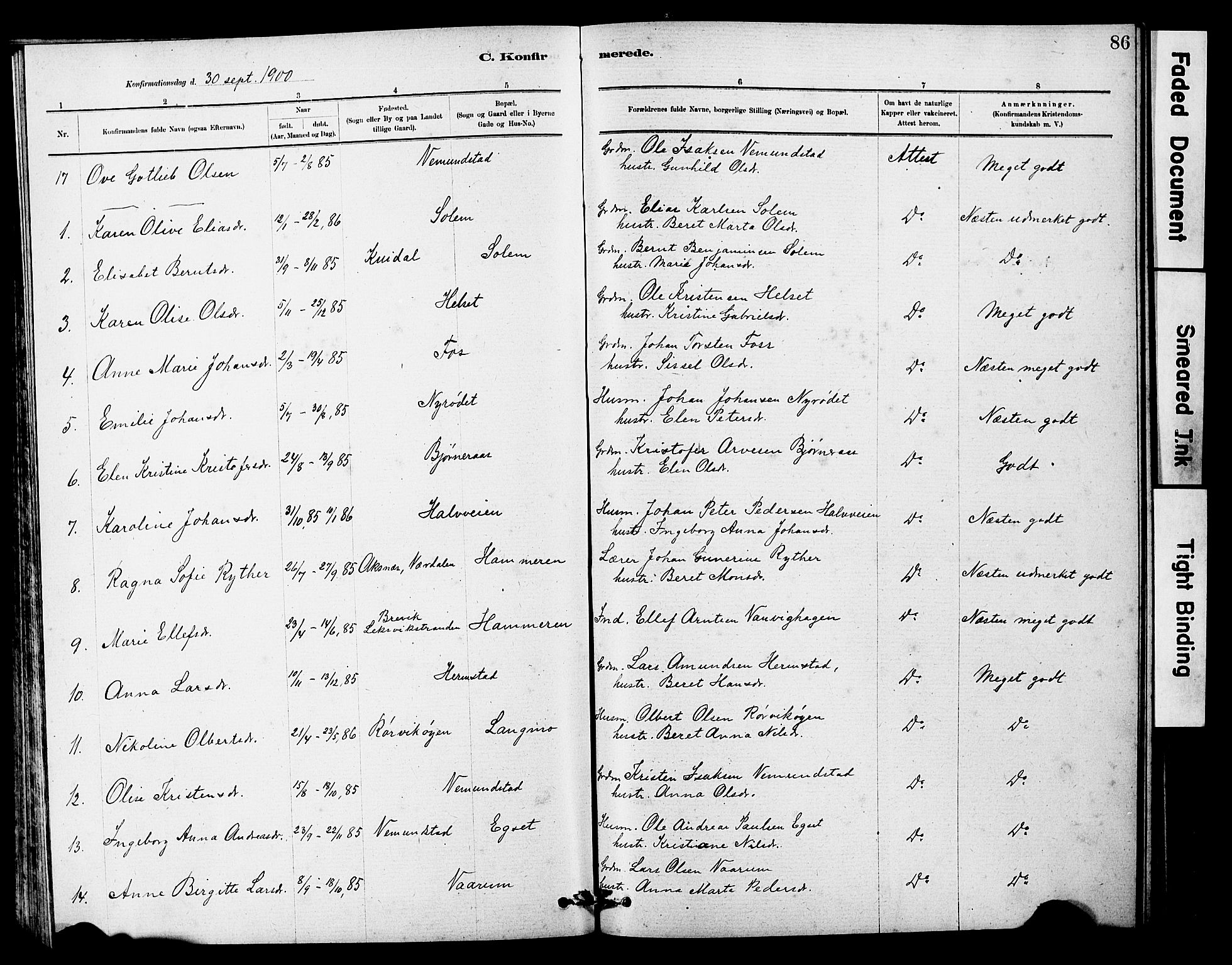 Ministerialprotokoller, klokkerbøker og fødselsregistre - Sør-Trøndelag, SAT/A-1456/646/L0628: Parish register (copy) no. 646C01, 1880-1903, p. 86