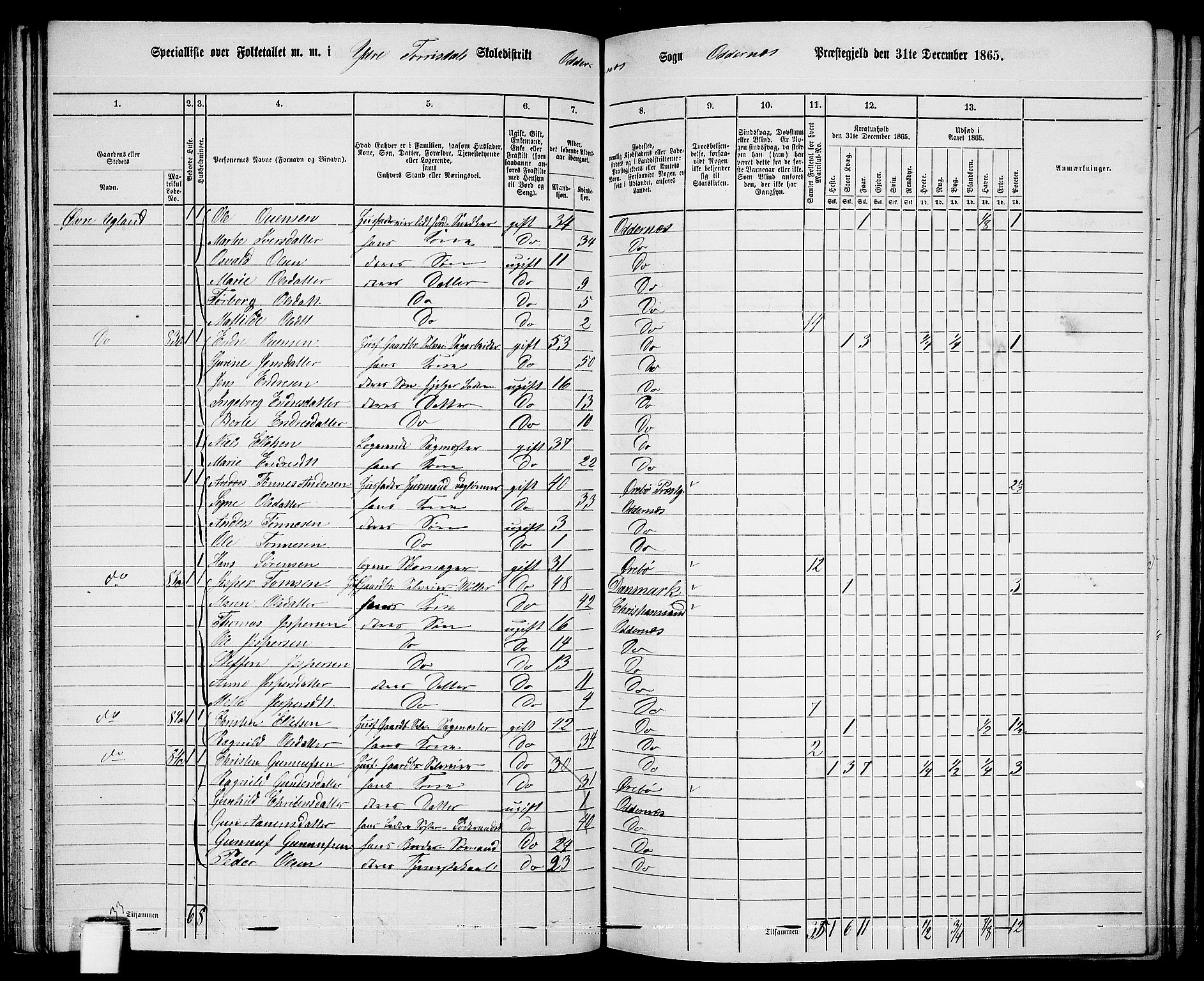 RA, 1865 census for Oddernes, 1865, p. 59