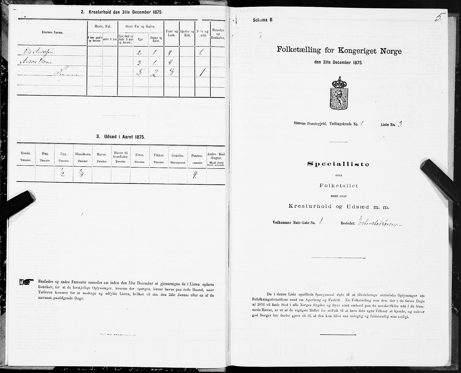 SAT, 1875 census for 1648P Støren, 1875, p. 7005