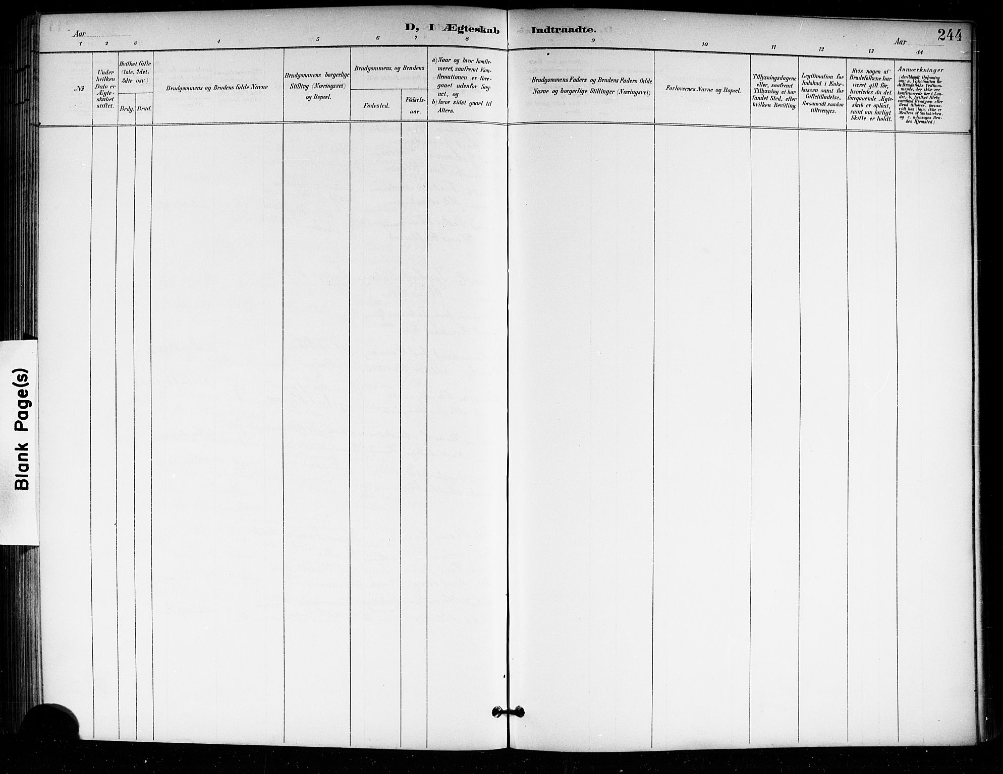 Tjølling kirkebøker, AV/SAKO-A-60/G/Ga/L0002: Parish register (copy) no. 2, 1895-1918, p. 244