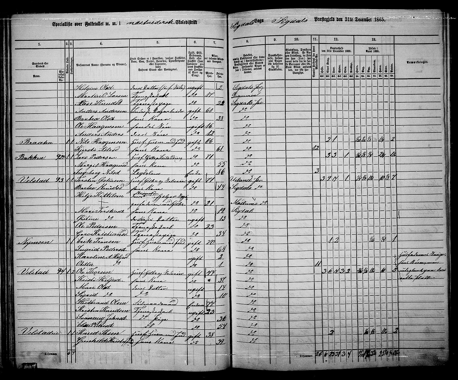 RA, 1865 census for Sigdal, 1865, p. 64