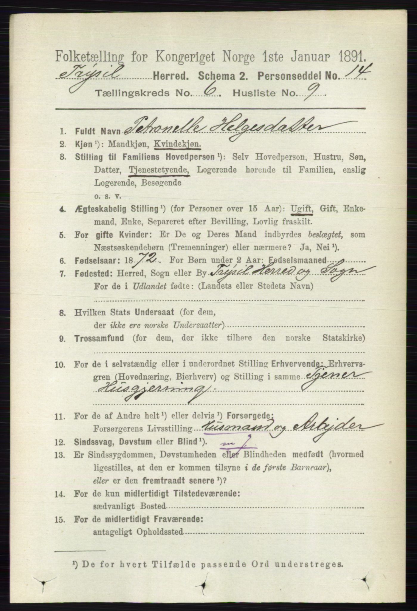 RA, 1891 census for 0428 Trysil, 1891, p. 2843