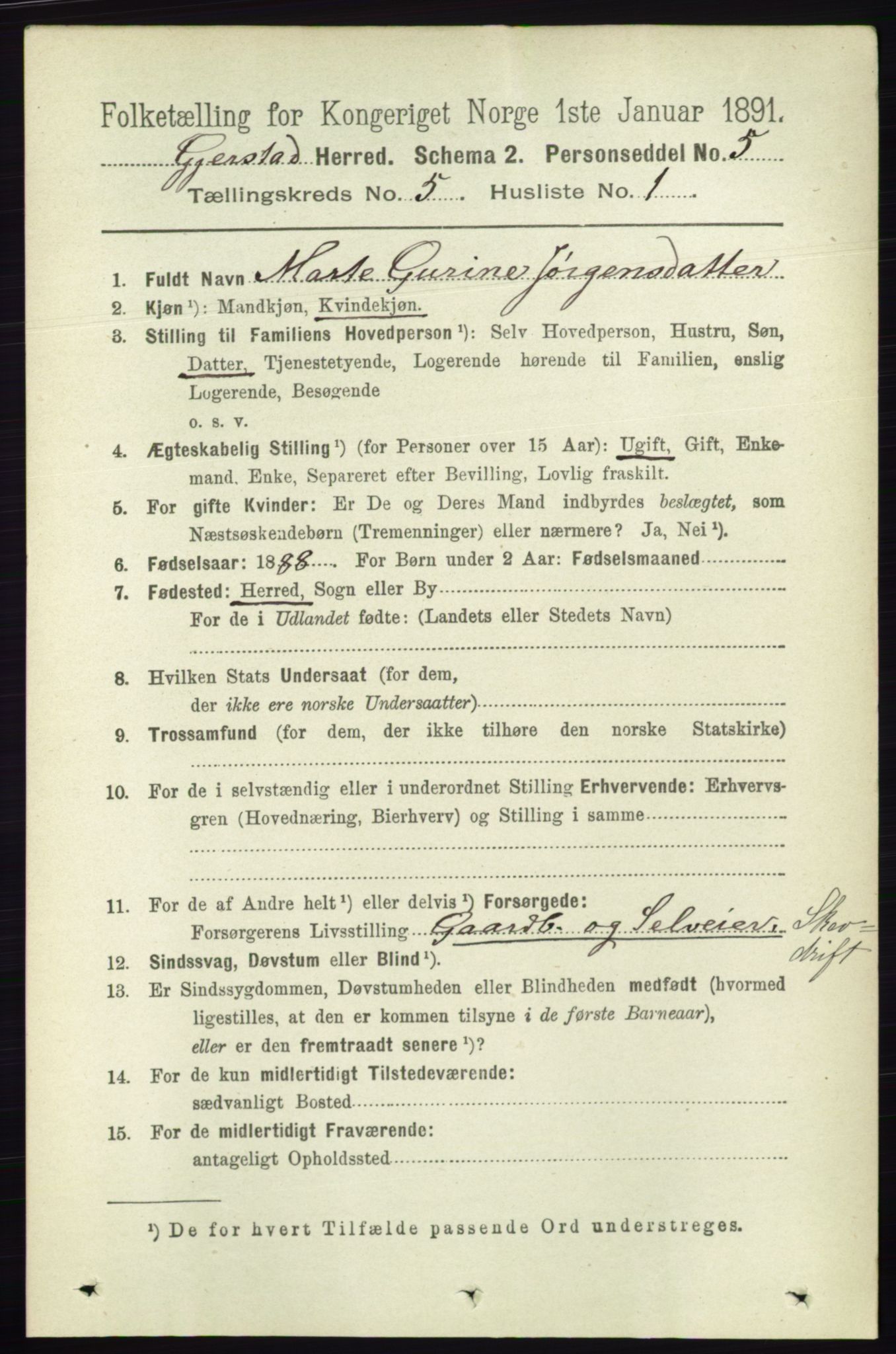 RA, 1891 census for 0911 Gjerstad, 1891, p. 1994