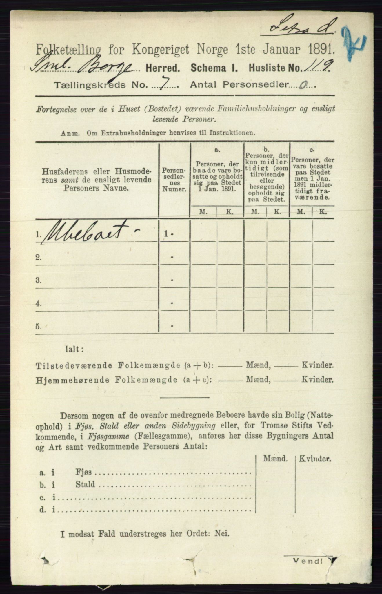 RA, 1891 census for 0113 Borge, 1891, p. 4008