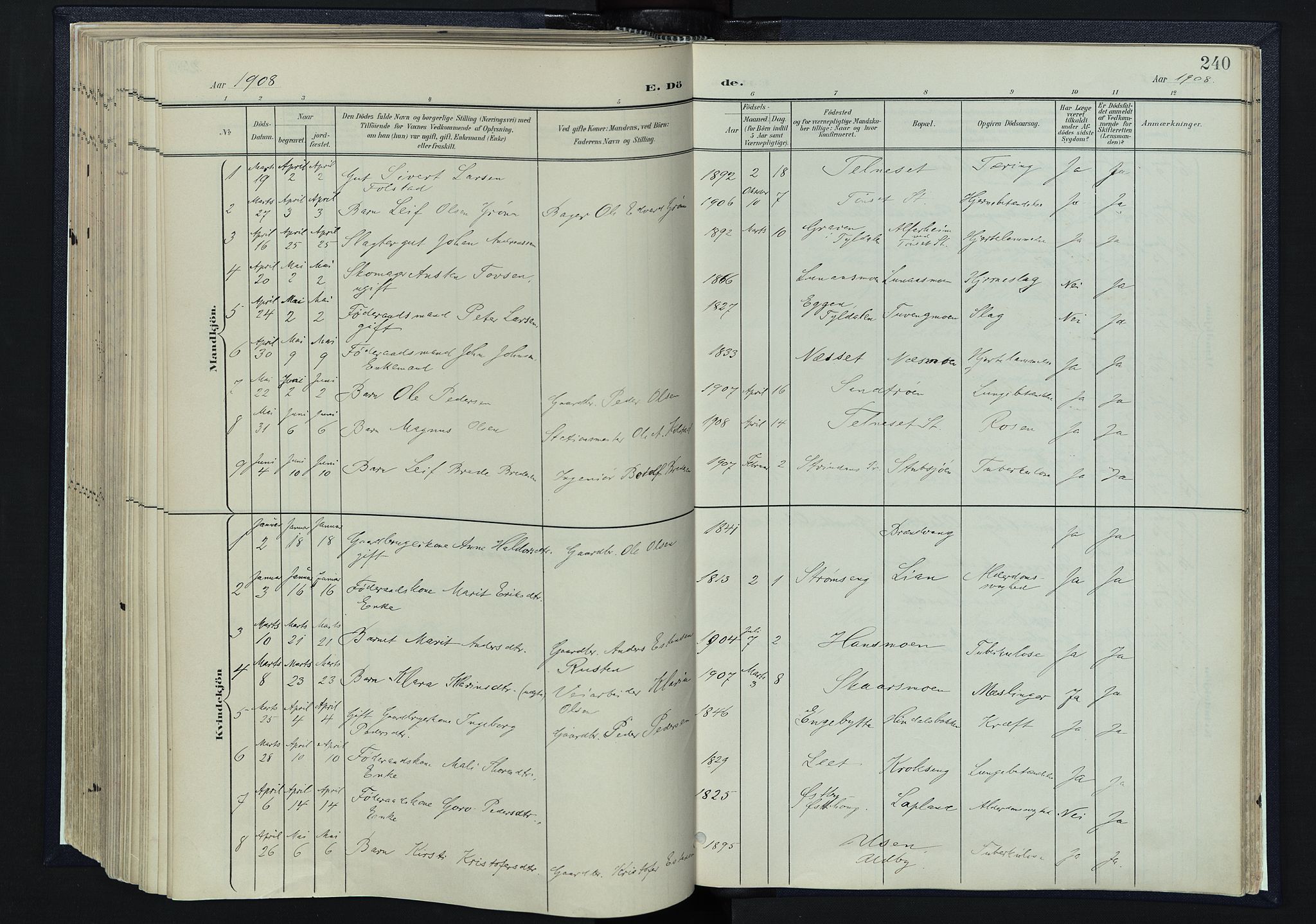 Tynset prestekontor, SAH/PREST-058/H/Ha/Haa/L0025: Parish register (official) no. 25, 1900-1914, p. 240