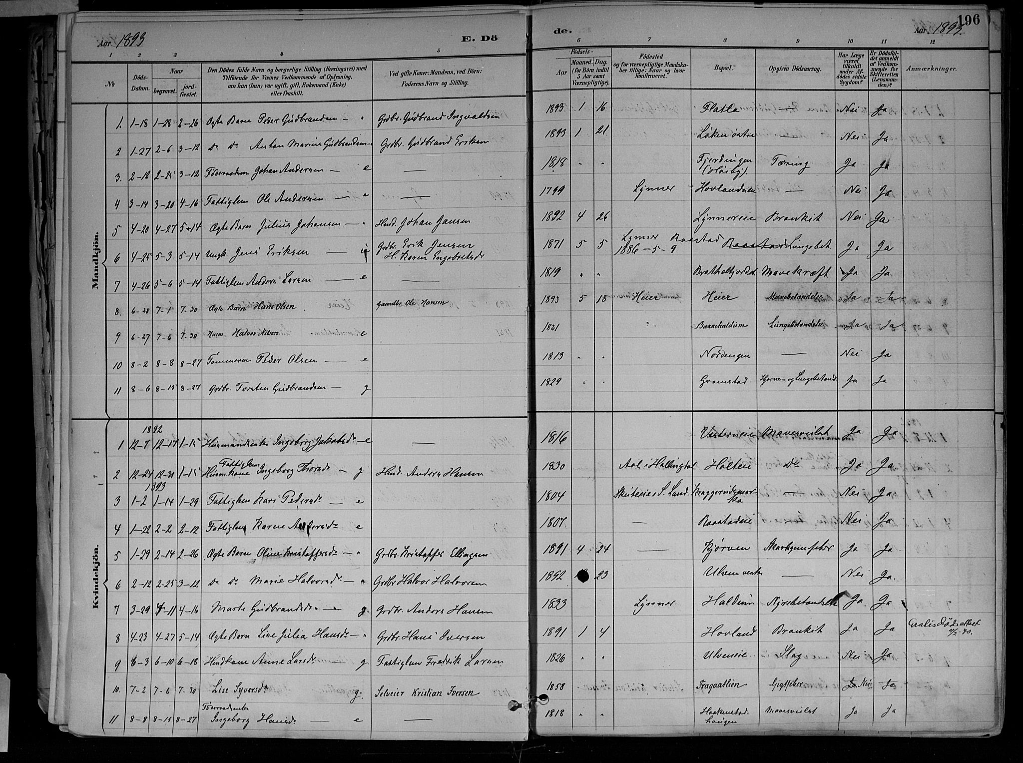Jevnaker prestekontor, SAH/PREST-116/H/Ha/Haa/L0010: Parish register (official) no. 10, 1891-1906, p. 196