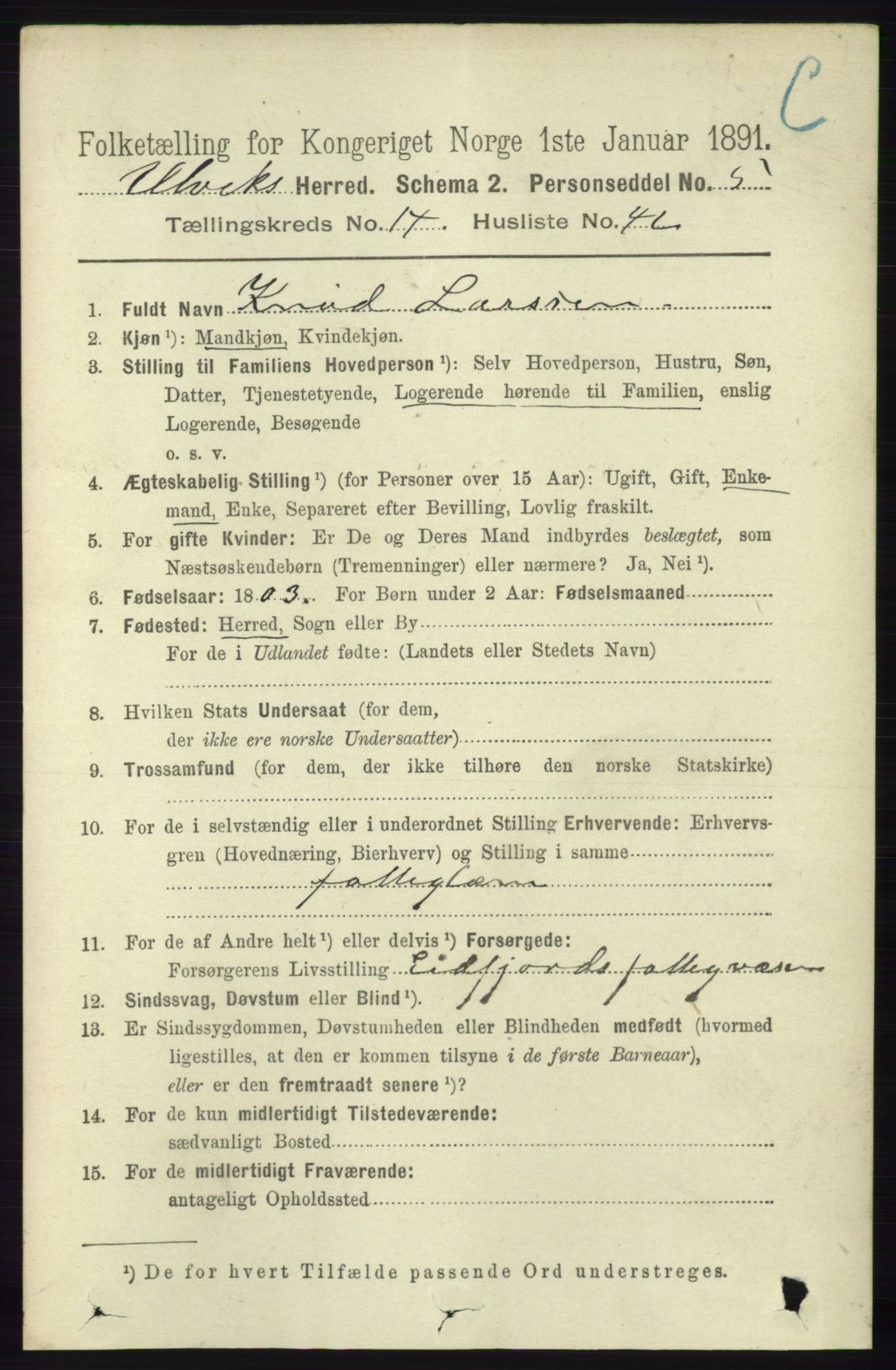 RA, 1891 census for 1233 Ulvik, 1891, p. 4481
