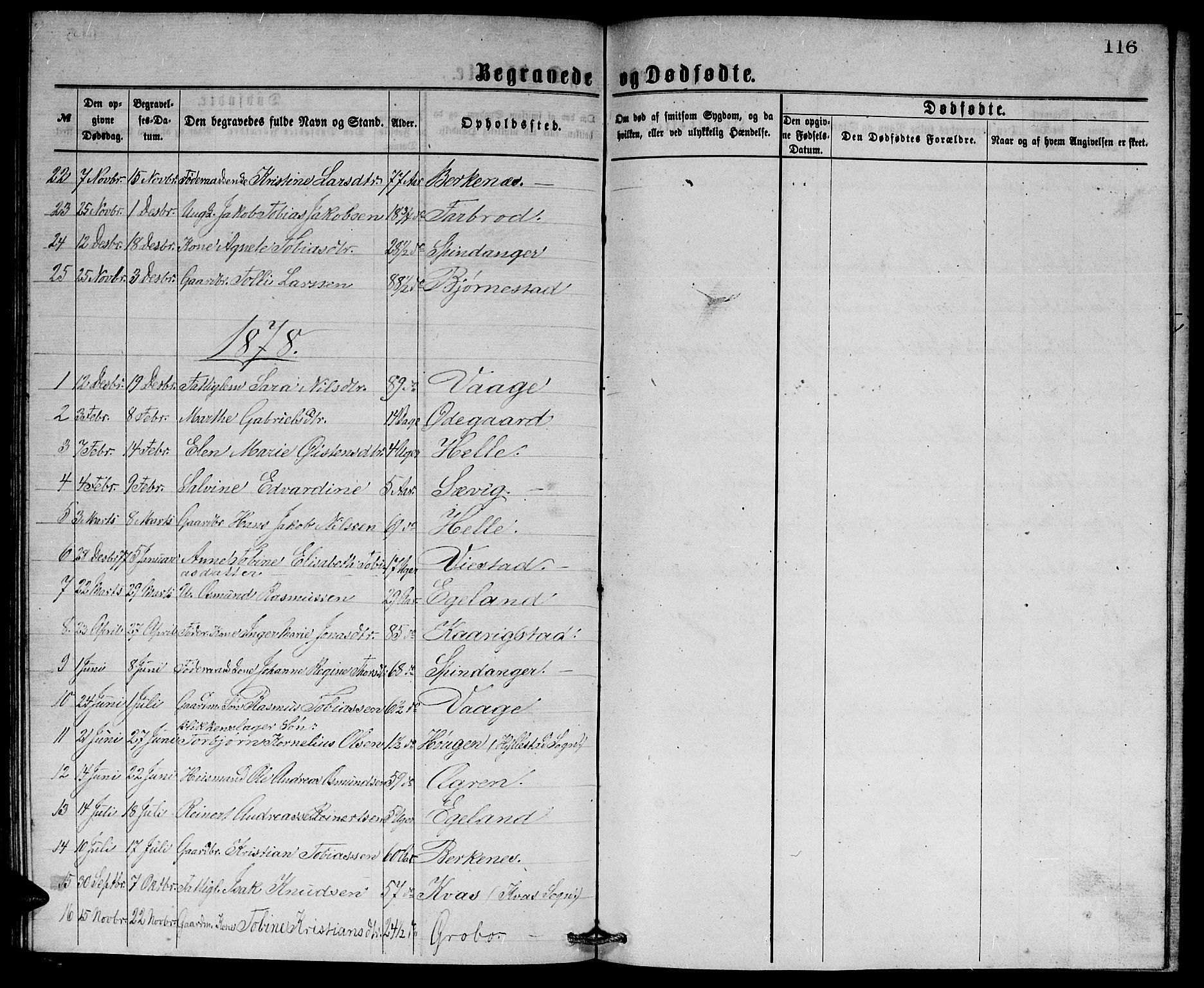 Herad sokneprestkontor, SAK/1111-0018/F/Fb/Fbb/L0003: Parish register (copy) no. B 3, 1872-1889, p. 116