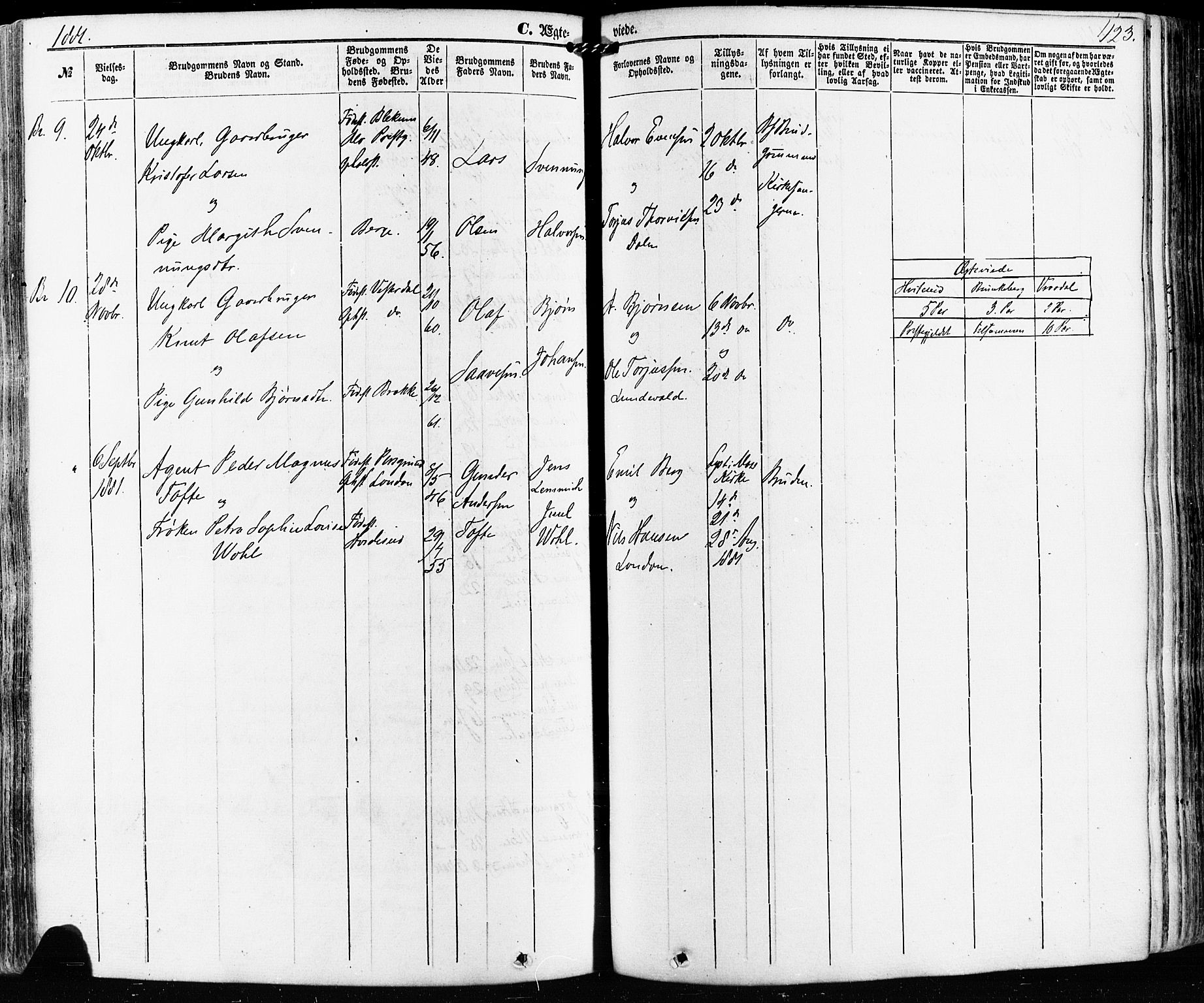 Kviteseid kirkebøker, AV/SAKO-A-276/F/Fa/L0007: Parish register (official) no. I 7, 1859-1881, p. 423