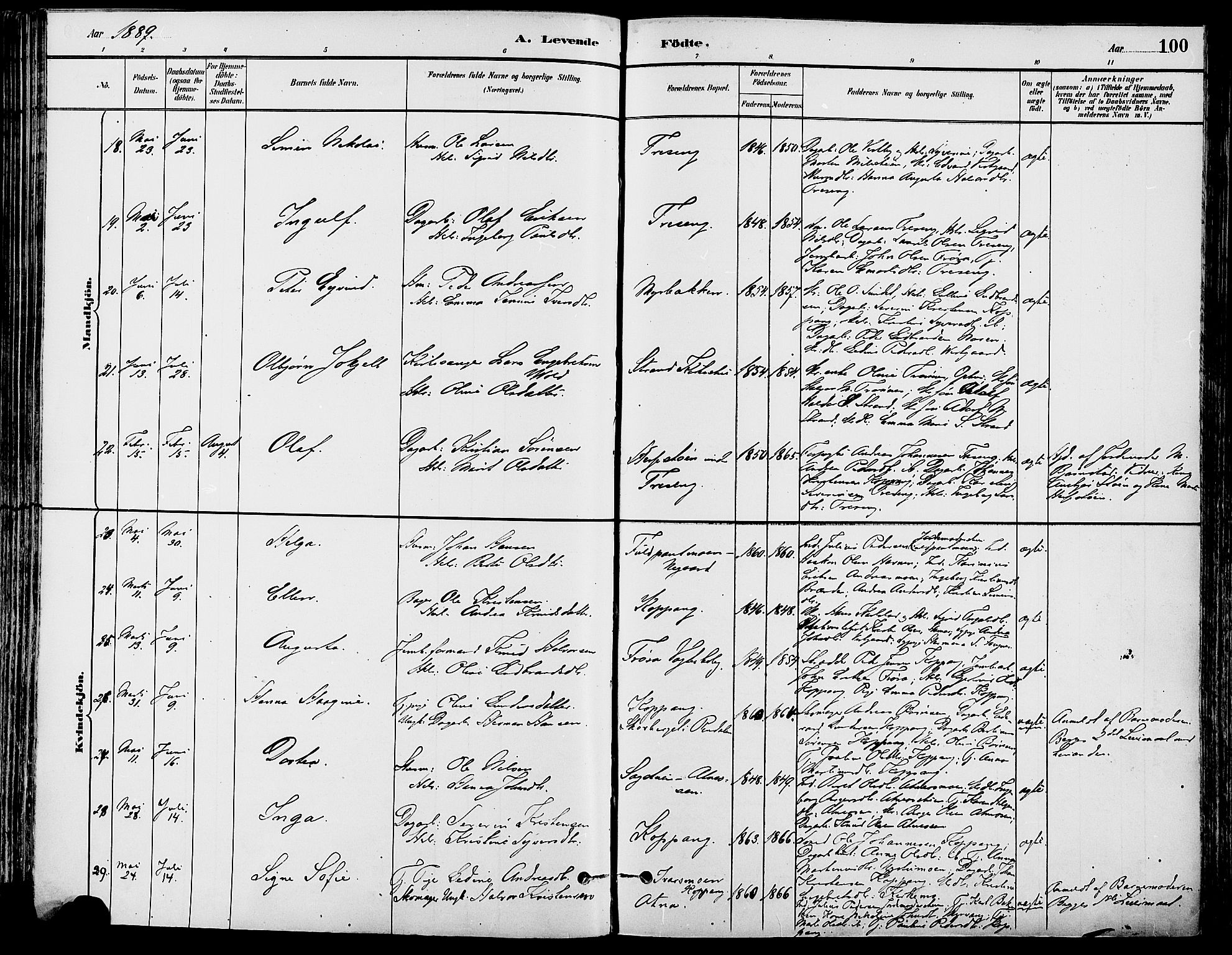 Stor-Elvdal prestekontor, SAH/PREST-052/H/Ha/Haa/L0002: Parish register (official) no. 2, 1882-1907, p. 100