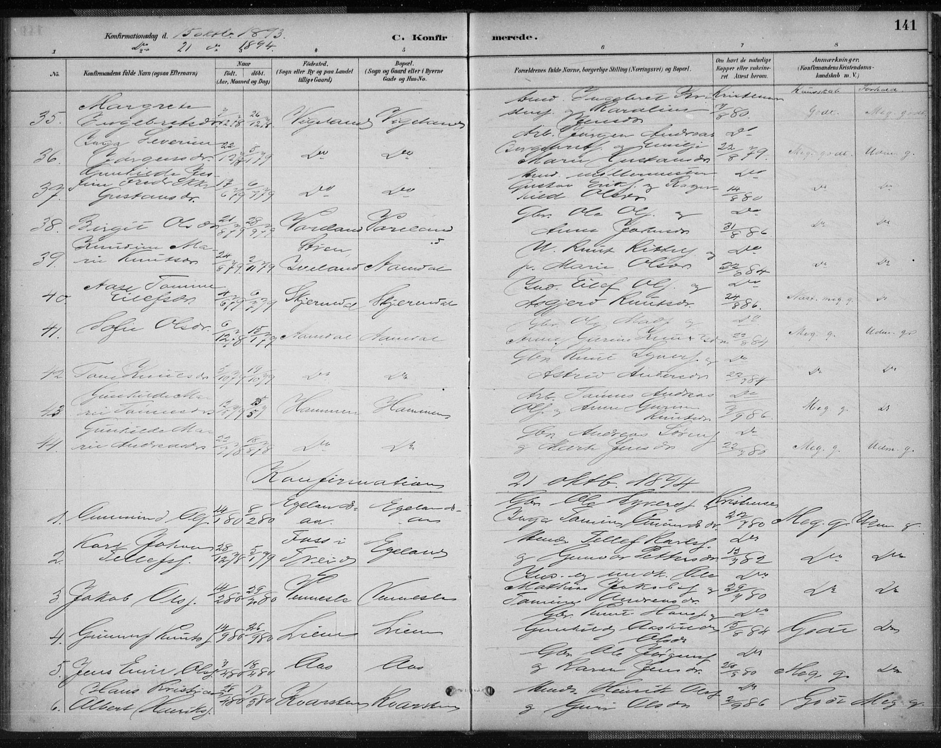 Vennesla sokneprestkontor, AV/SAK-1111-0045/Fa/Fab/L0004: Parish register (official) no. A 4, 1884-1896, p. 141