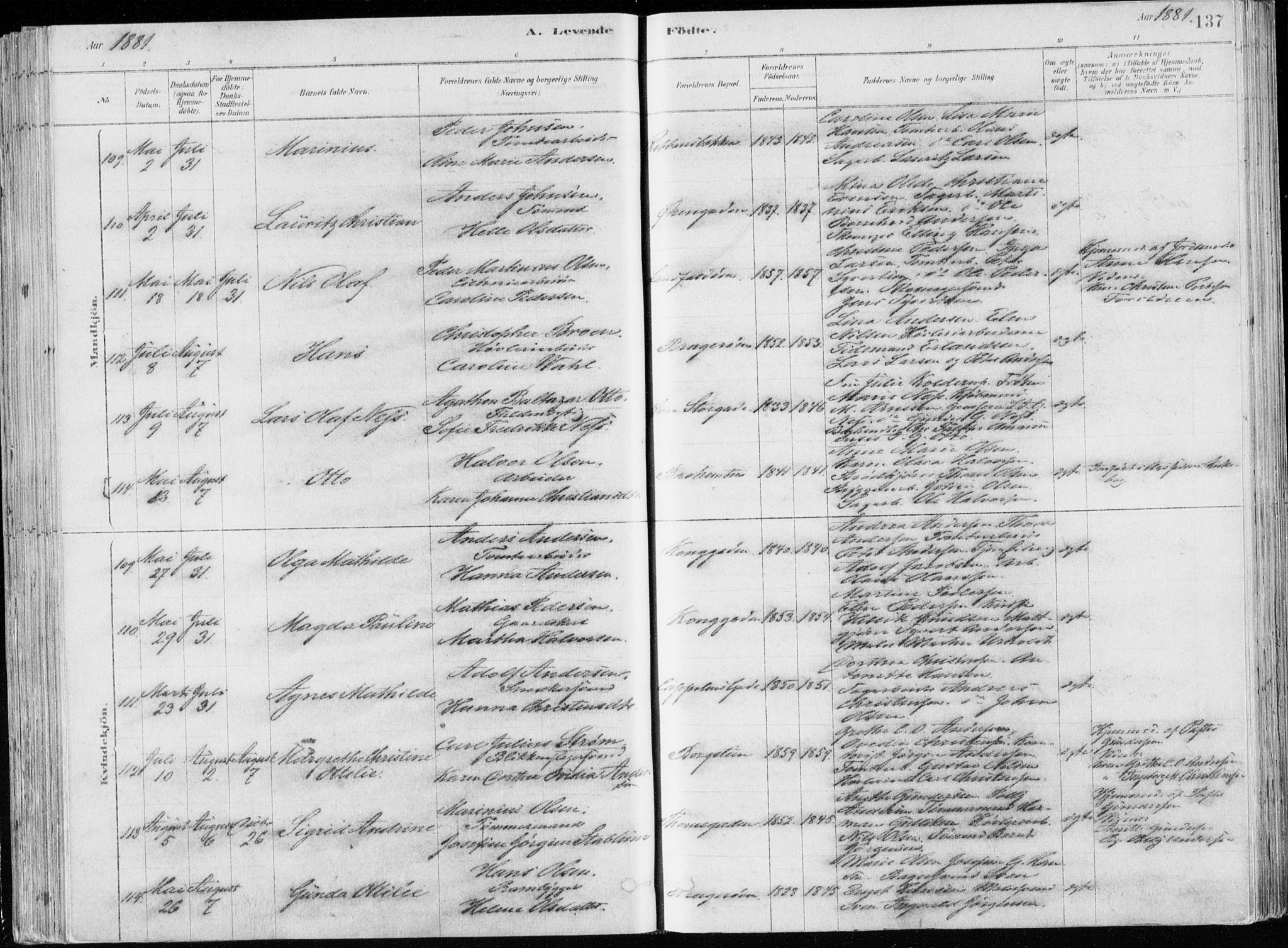 Bragernes kirkebøker, SAKO/A-6/F/Fb/L0006a: Parish register (official) no. II 6A, 1878-1885, p. 137