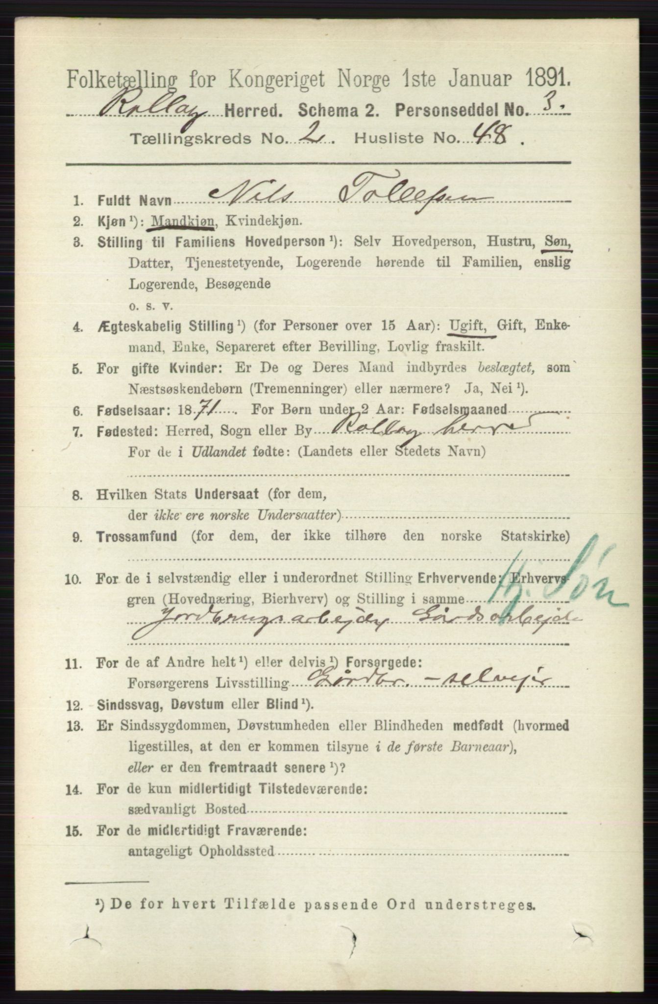 RA, 1891 census for 0632 Rollag, 1891, p. 729