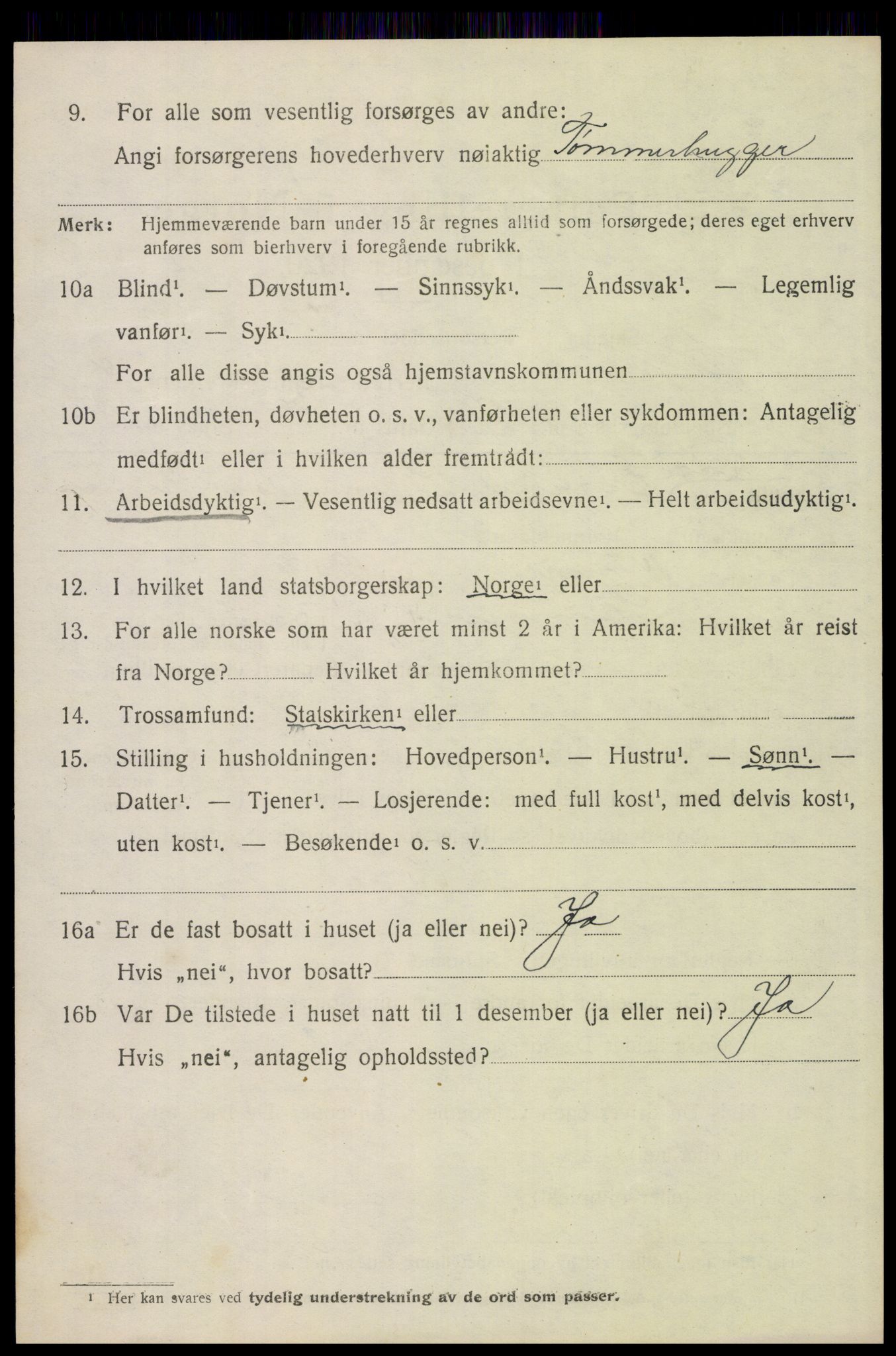 SAH, 1920 census for Trysil, 1920, p. 4102