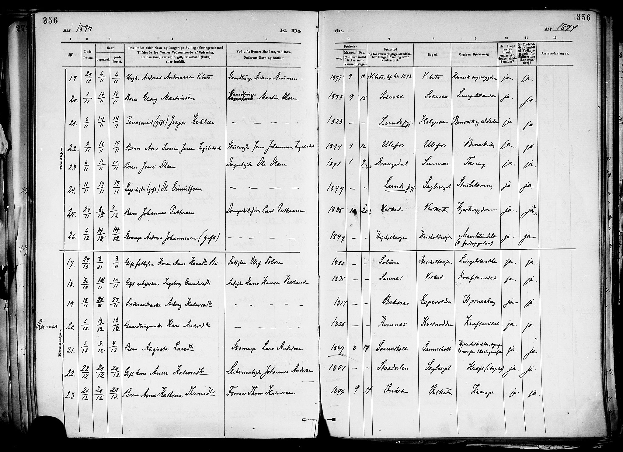 Holla kirkebøker, SAKO/A-272/F/Fa/L0008: Parish register (official) no. 8, 1882-1897, p. 356