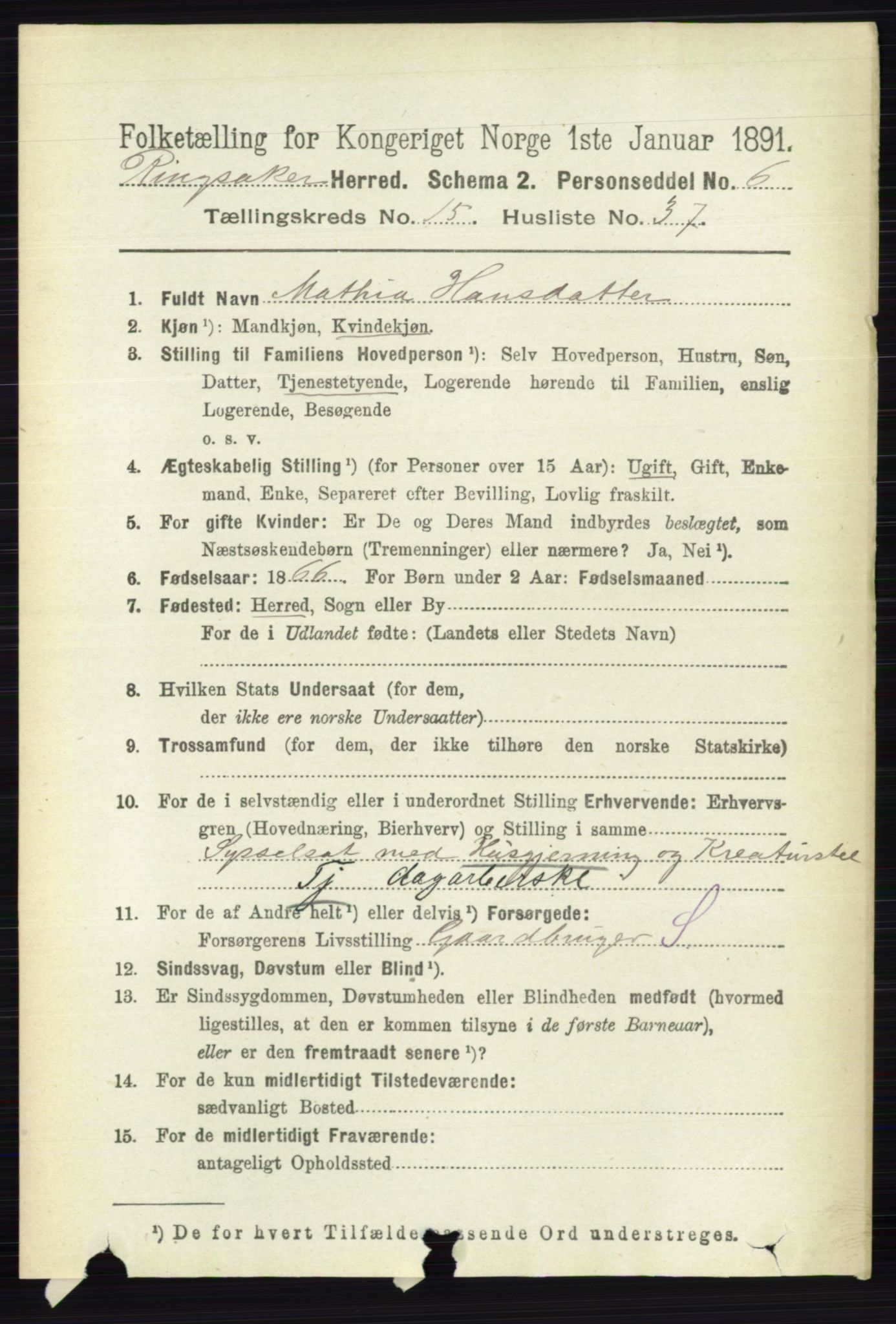 RA, 1891 census for 0412 Ringsaker, 1891, p. 8725