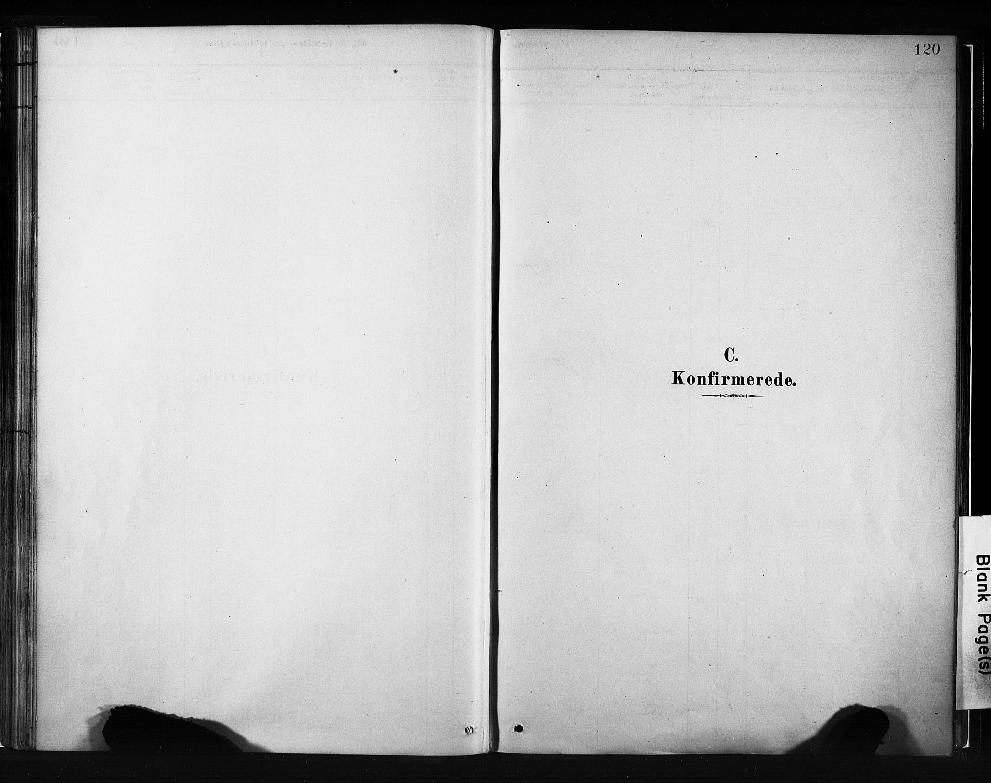Evanger sokneprestembete, AV/SAB-A-99924: Parish register (official) no. A 1, 1877-1899, p. 120