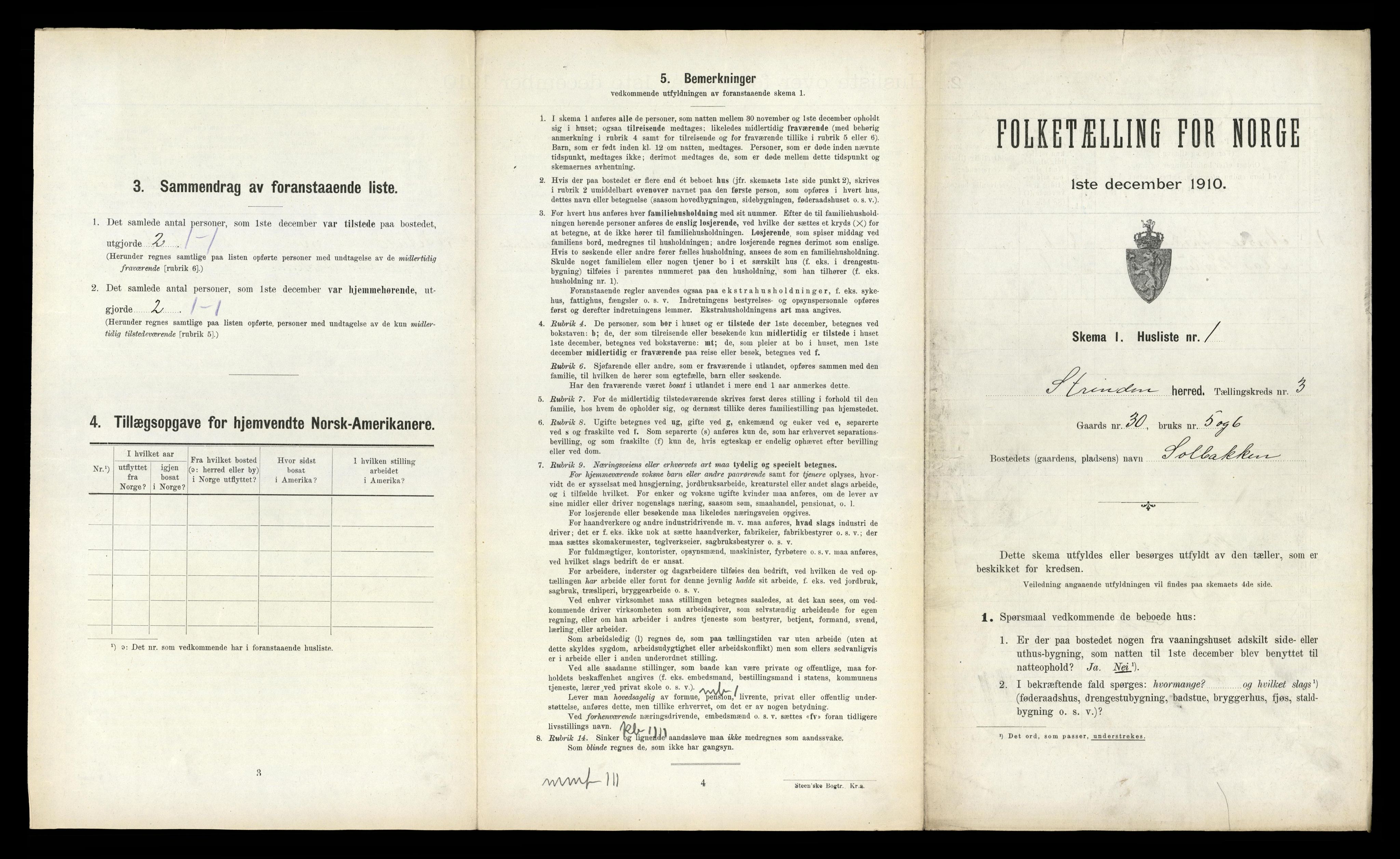 RA, 1910 census for Strinda, 1910, p. 666