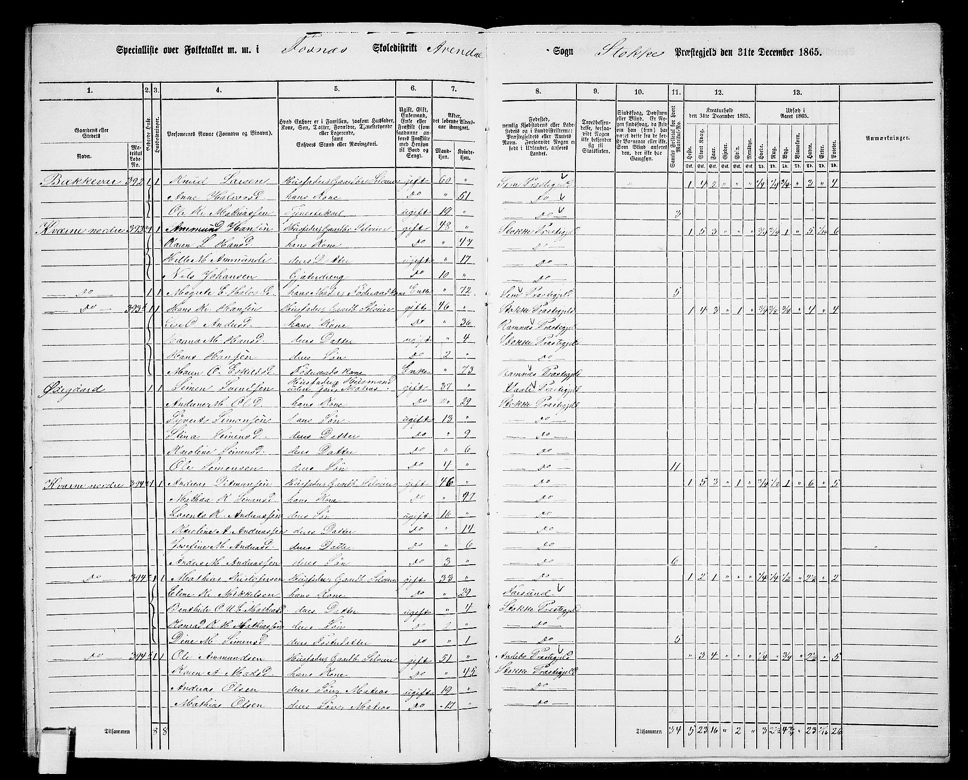 RA, 1865 census for Stokke, 1865, p. 194