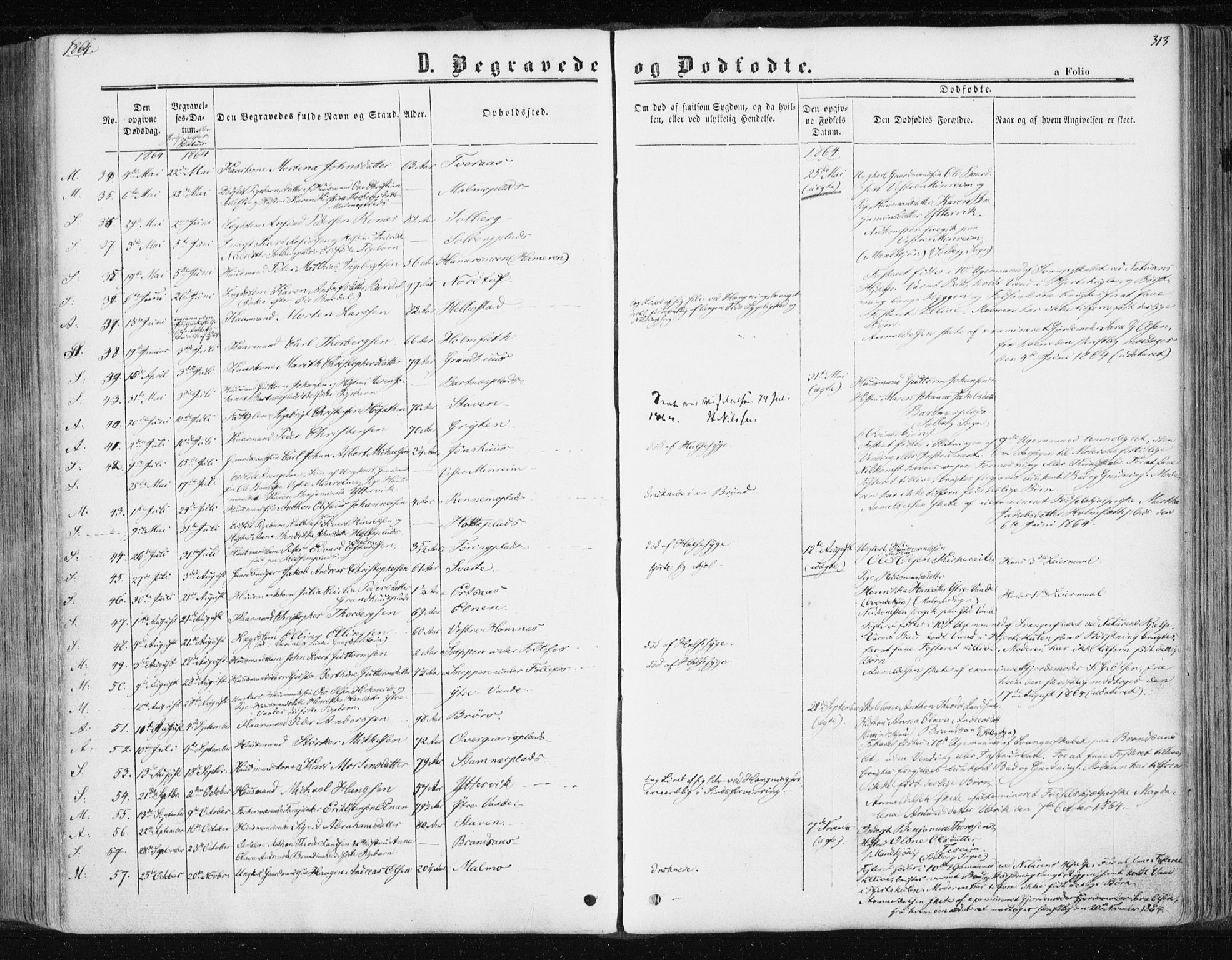 Ministerialprotokoller, klokkerbøker og fødselsregistre - Nord-Trøndelag, AV/SAT-A-1458/741/L0394: Parish register (official) no. 741A08, 1864-1877, p. 313